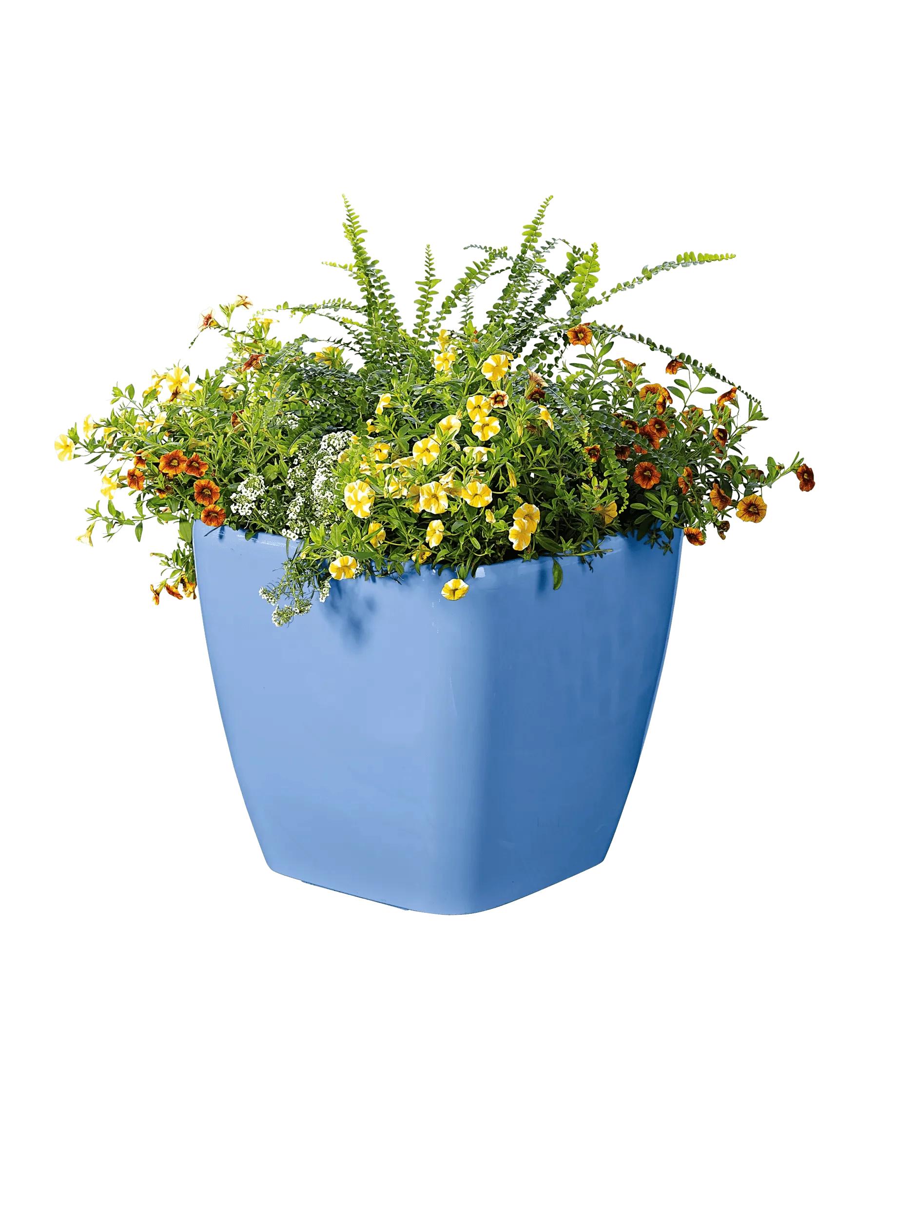 Viva™ Square Self-Watering Rolling Planter, 14" Diameter