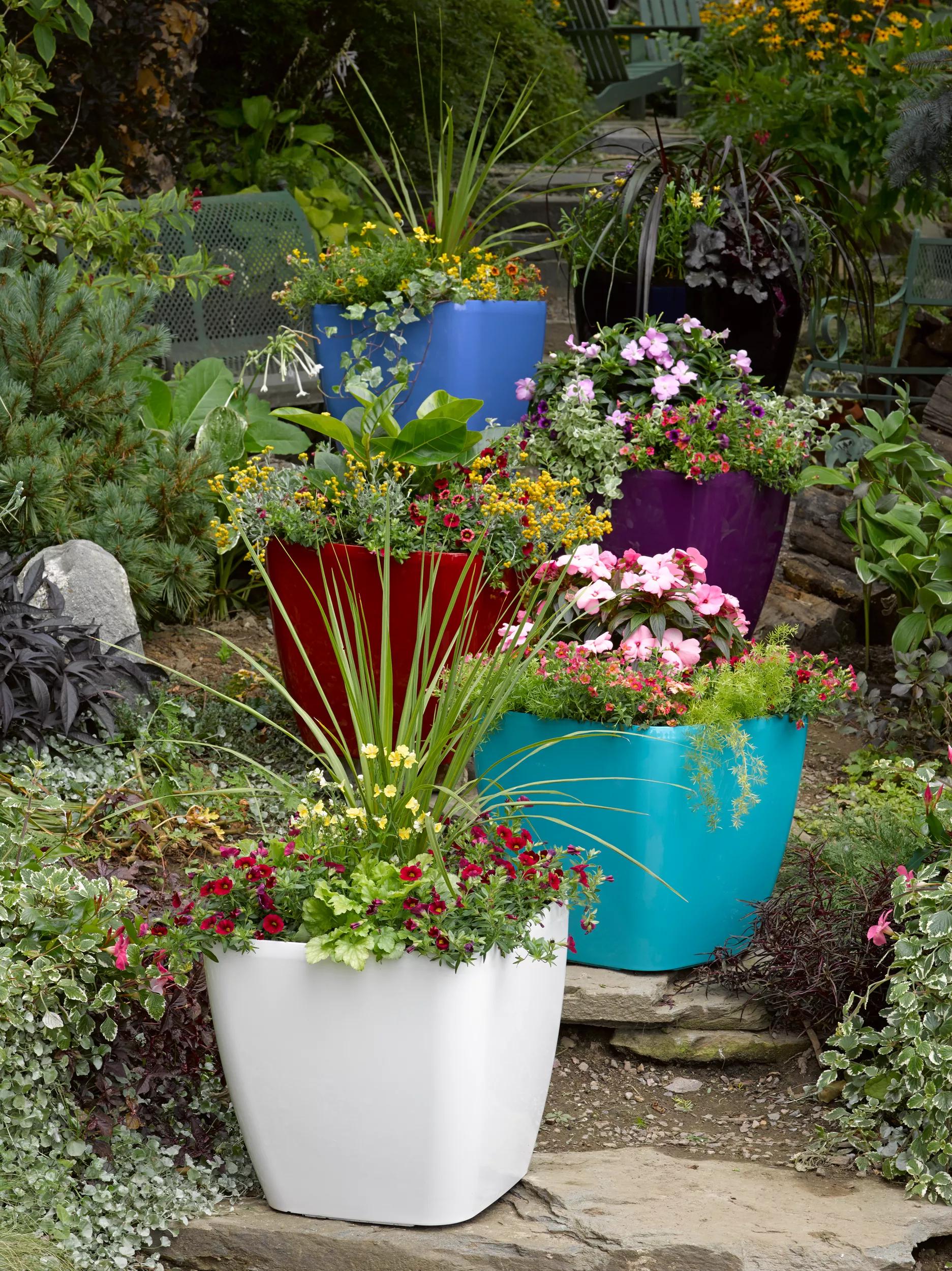 1559-vivatm-square-self-watering-rolling-planter-17.5-diameter-1.jpg Viva™ Square Self-Watering Rolling Planter, 17.5" Diameter