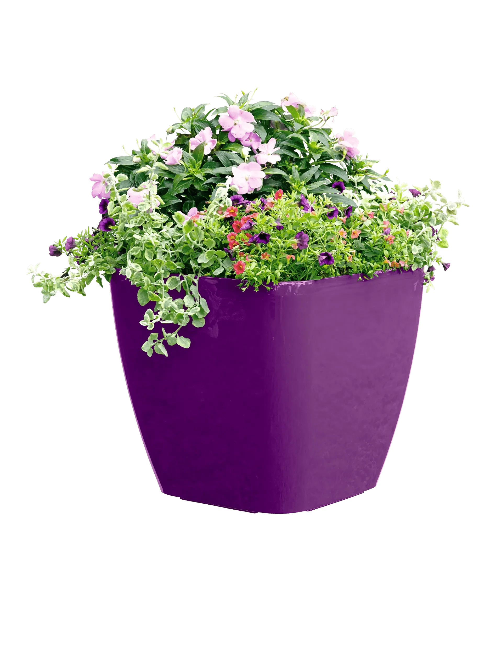 Viva™ Square Self-Watering Rolling Planter, 17.5" Diameter