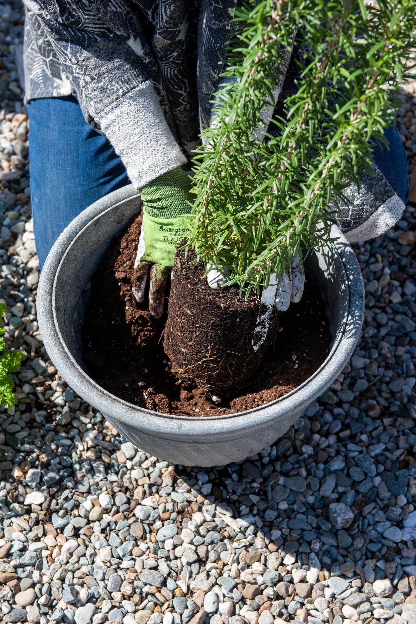 156-organic-self-watering-potting-mix-20-qts-7.jpg Organic Self-Watering Potting Mix, 20 Qts.
