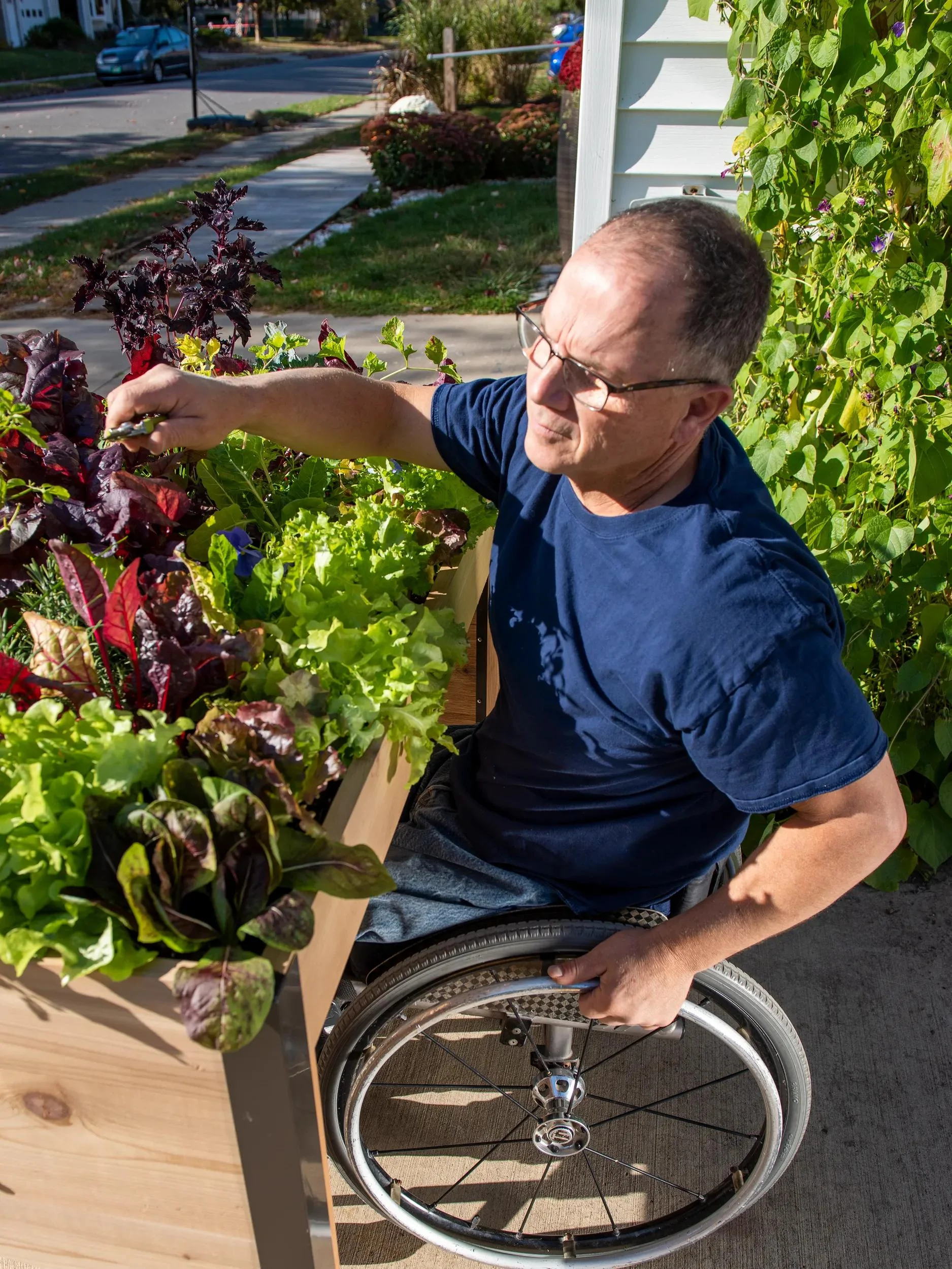1583-wheelchair-accessible-elevated-cedar-garden-bed-1.webp Wheelchair Accessible Elevated Cedar Garden Bed