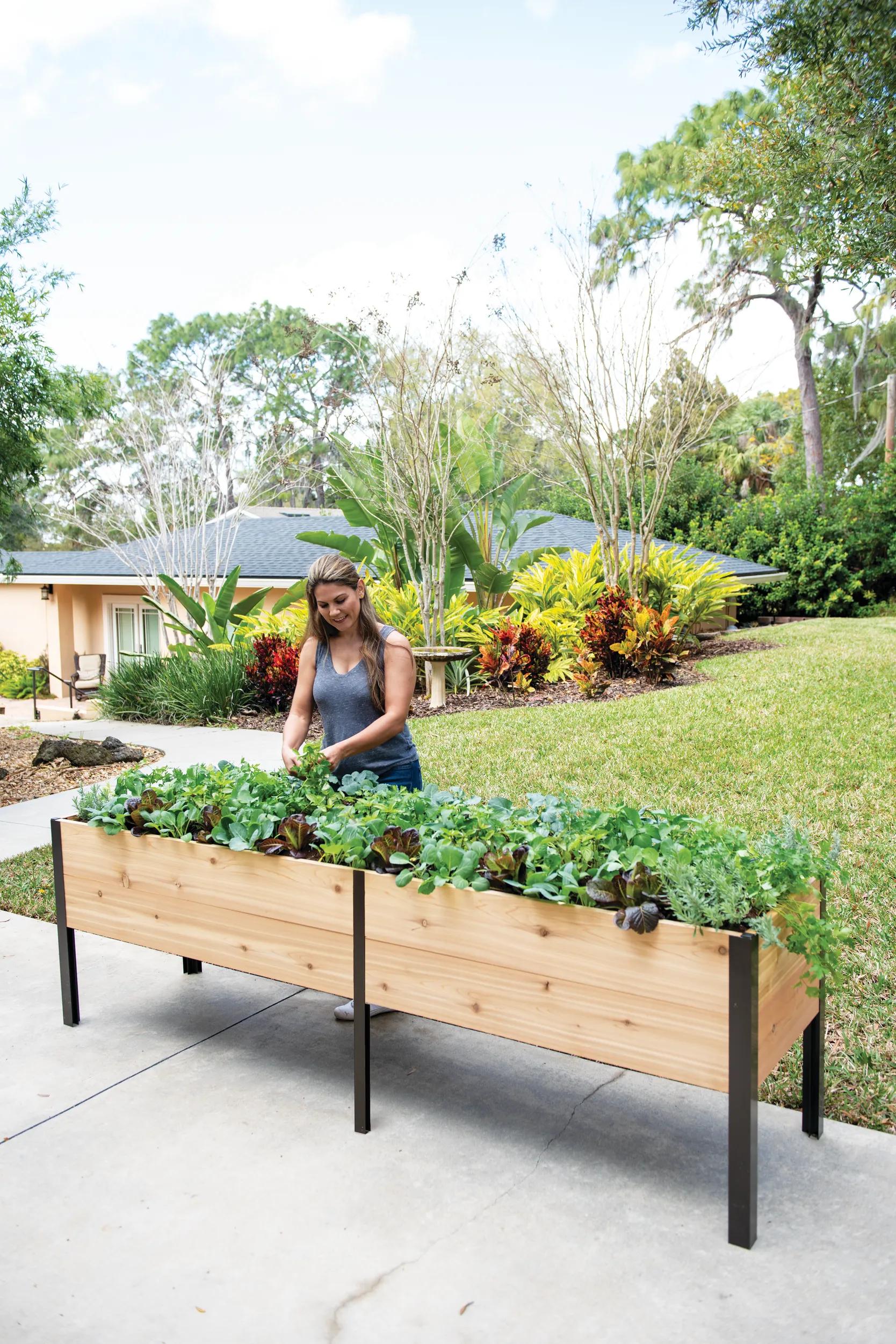 166-self-watering-elevated-cedar-planter-box-2-x-8-1.jpg Self-Watering Elevated Cedar Planter Box, 2 x 8