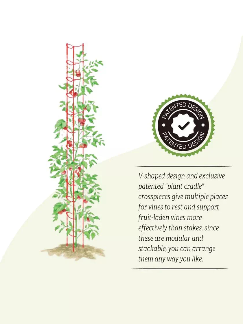 Stacking Tomato Ladders, Set of 6