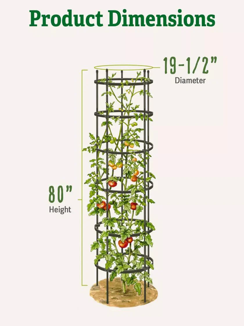 Titan™ Tall Tomato Cages, Set of 3