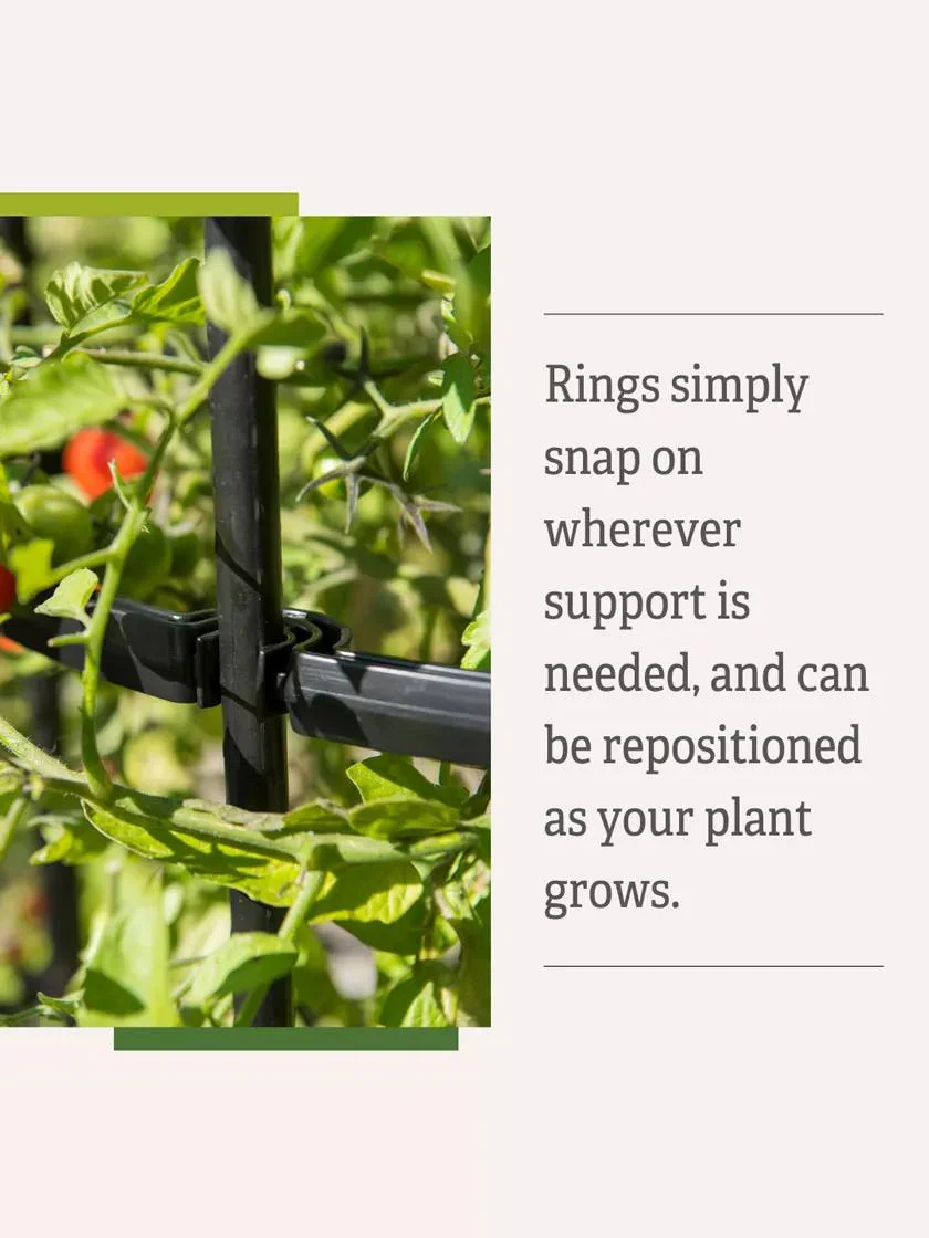 Titan™ Tall Tomato Cages, Set of 3