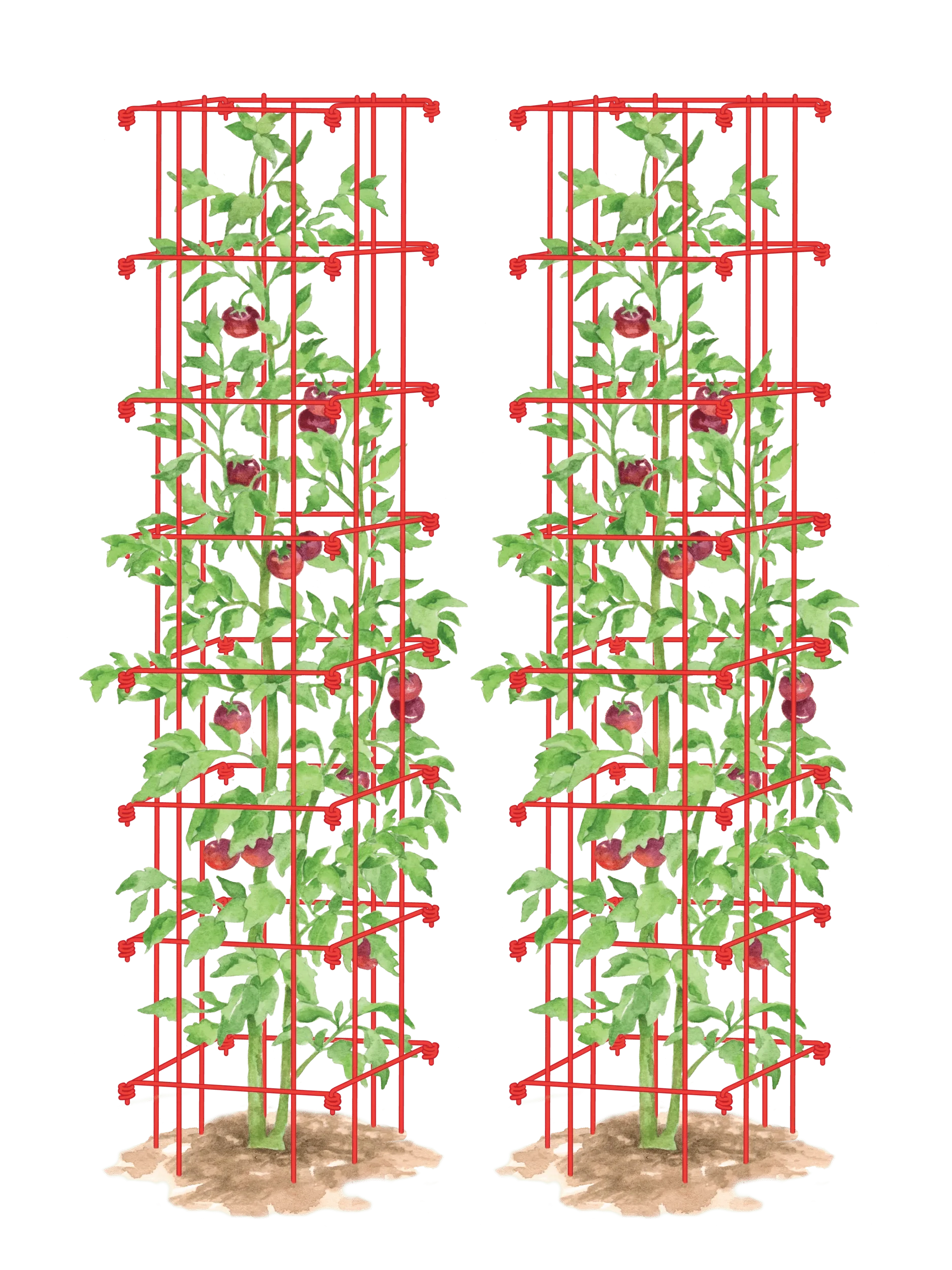 194-tomato-towers-set-of-2-1.webp Tomato Towers, Set of 2