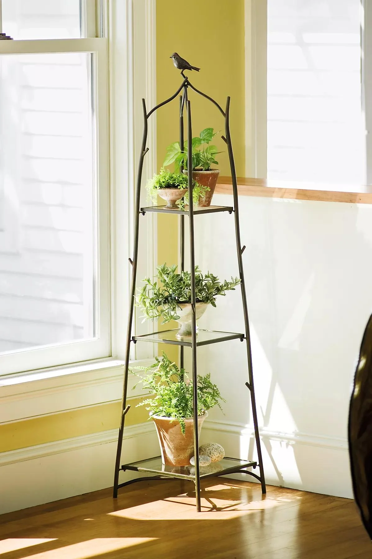 209-branch-plant-stand-1.webp Branch Plant Stand