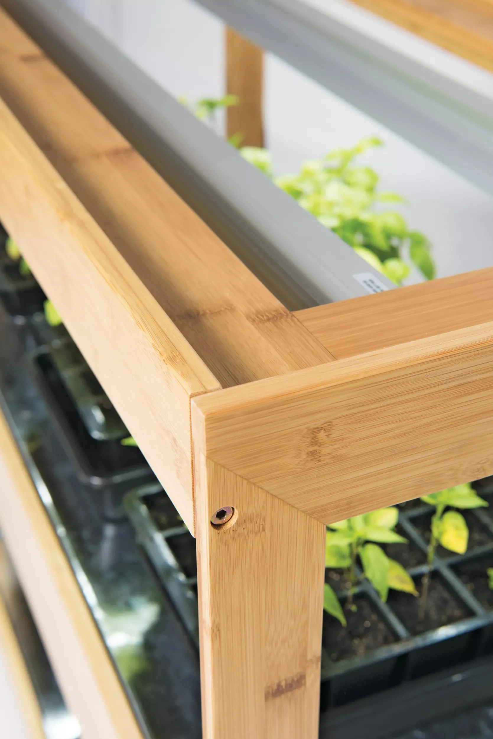 Bamboo LED Grow Light Garden for Succulents and Seeds