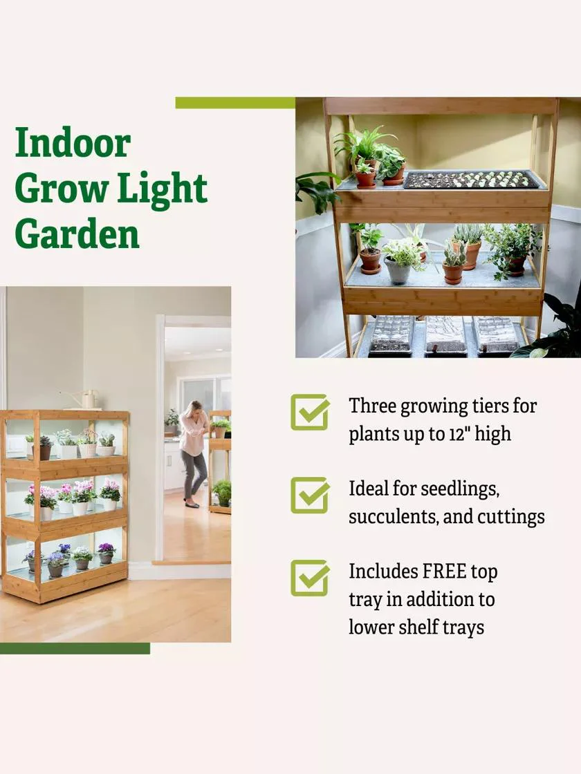 Bamboo LED Grow Light Garden for Succulents and Seeds