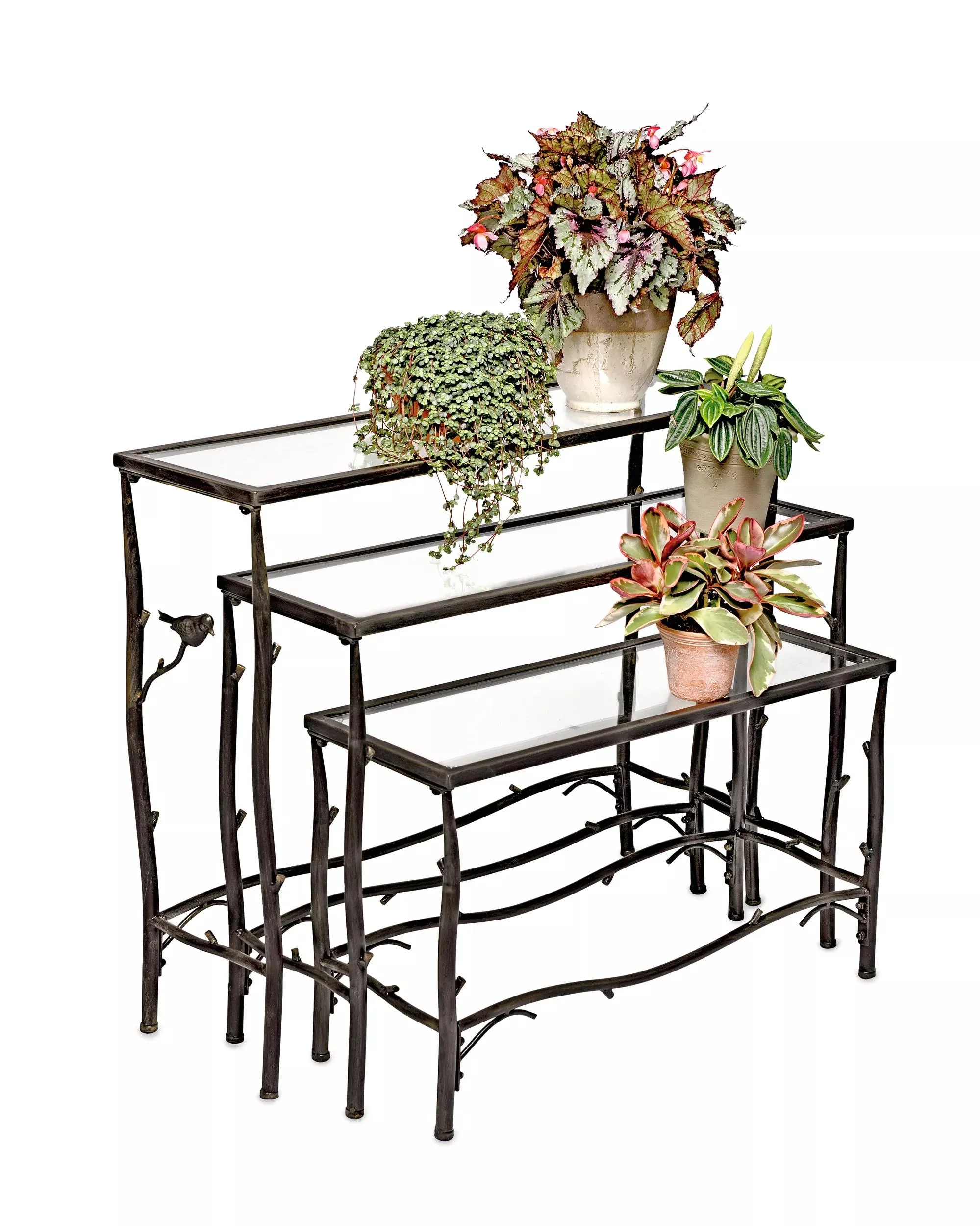 Nesting Branch Plant Stands, Set of 3