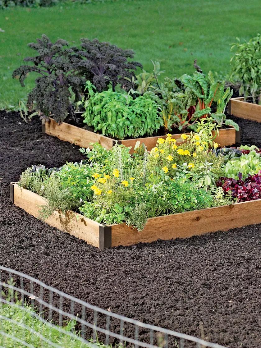 218-cedar-raised-beds-3-wide-7.25-d-2.jpg Cedar Raised Beds, 3' Wide (7.25" D)