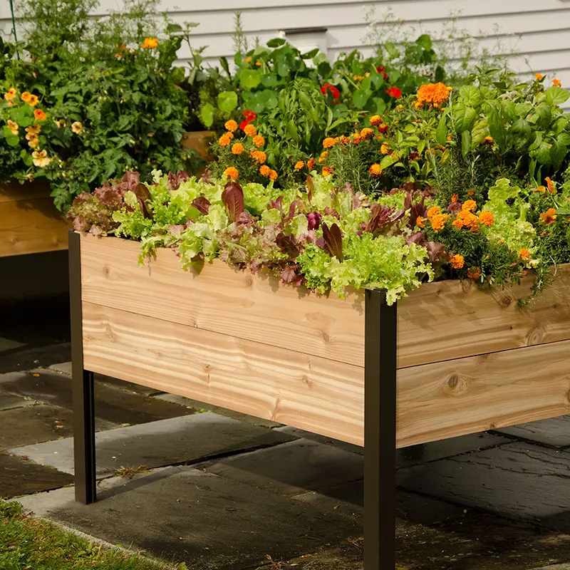 225-elevated-cedar-planter-box-4-x-4-3.webp Elevated Cedar Planter Box, 4' x 4'