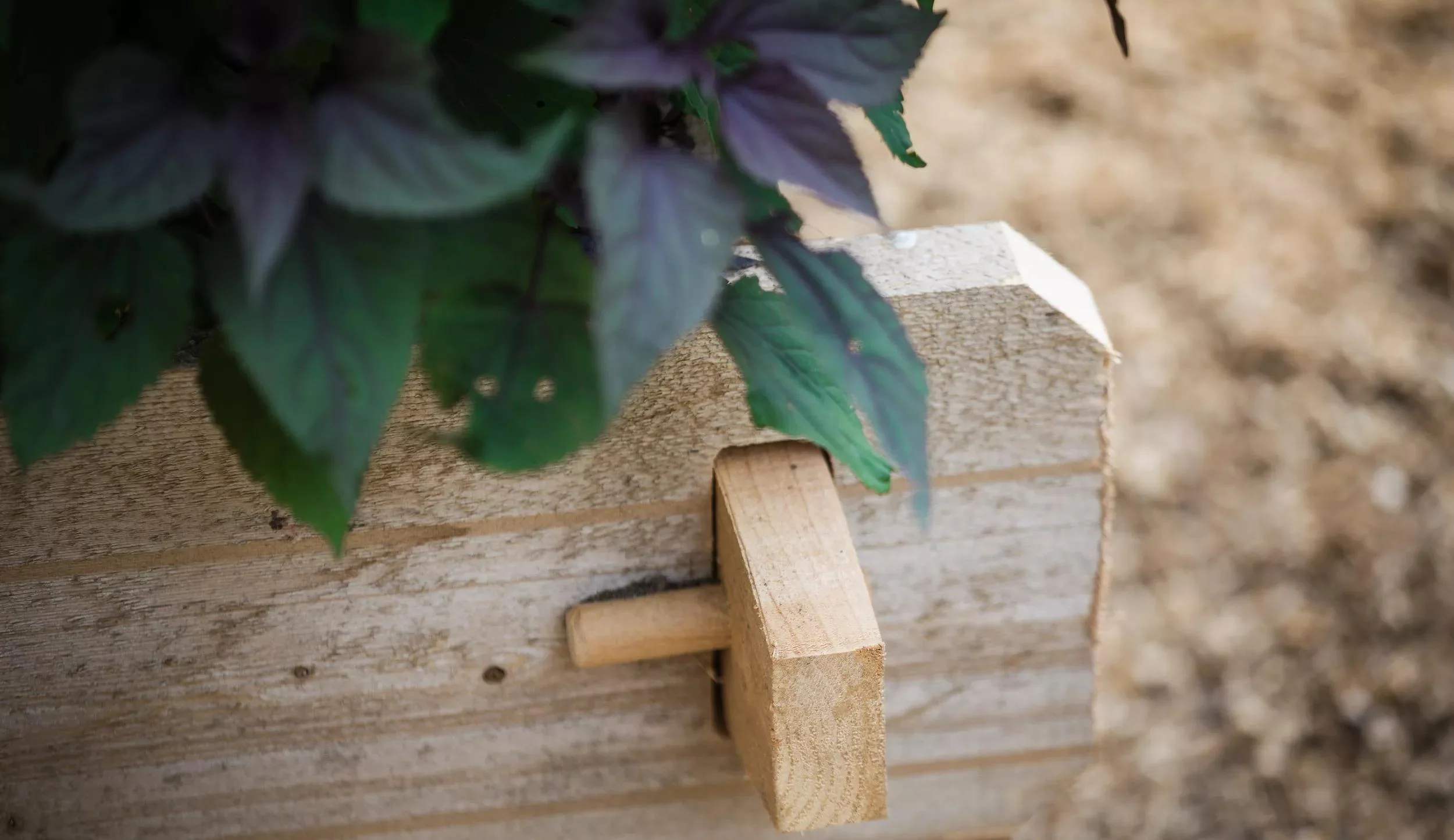 Farmstead Cedar Raised Garden Beds, 2'