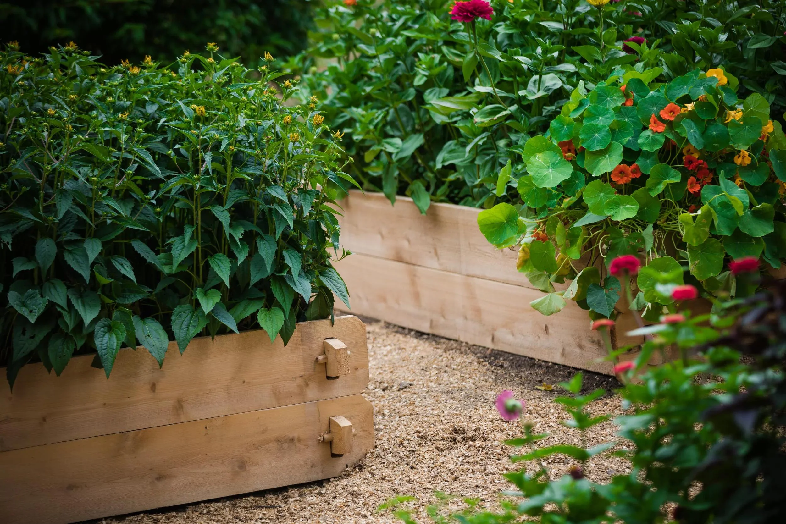 Farmstead Cedar Raised Garden Beds, 2'