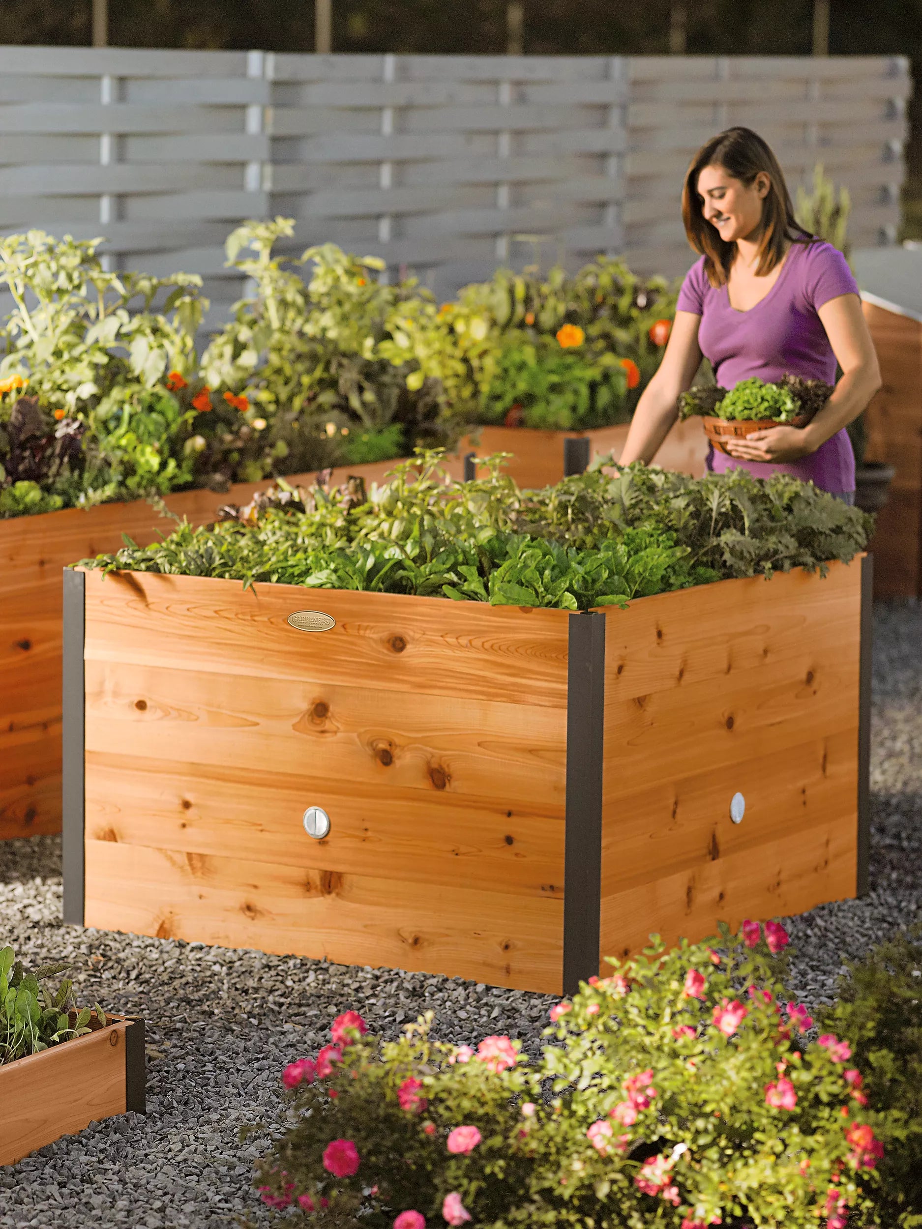 233-elevated-cedar-raised-bed-4-x-4-1.jpg Elevated Cedar Raised Bed, 4' x 4'