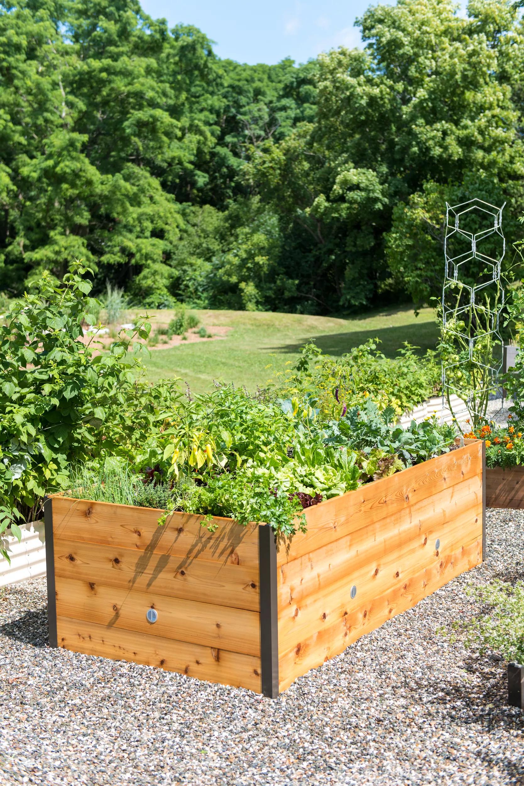 236-elevated-cedar-raised-bed-4-x-8-1.jpg Elevated Cedar Raised Bed, 4' x 8'