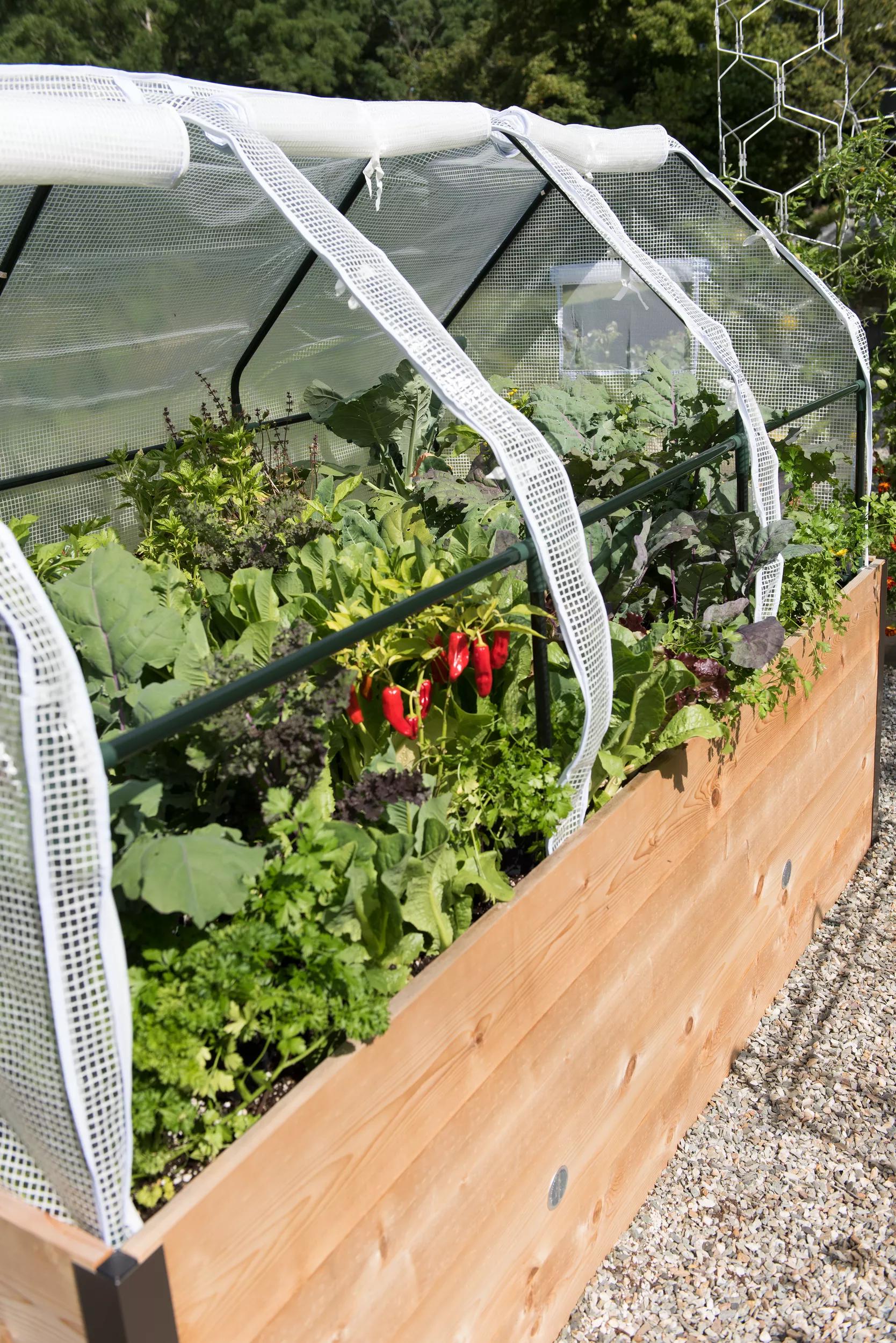 236-elevated-cedar-raised-bed-4-x-8-2.jpg Elevated Cedar Raised Bed, 4' x 8'