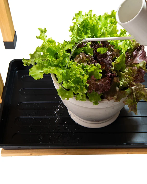 249-vegtrug-chef-s-garden-4.webp VegTrug Chef's Garden