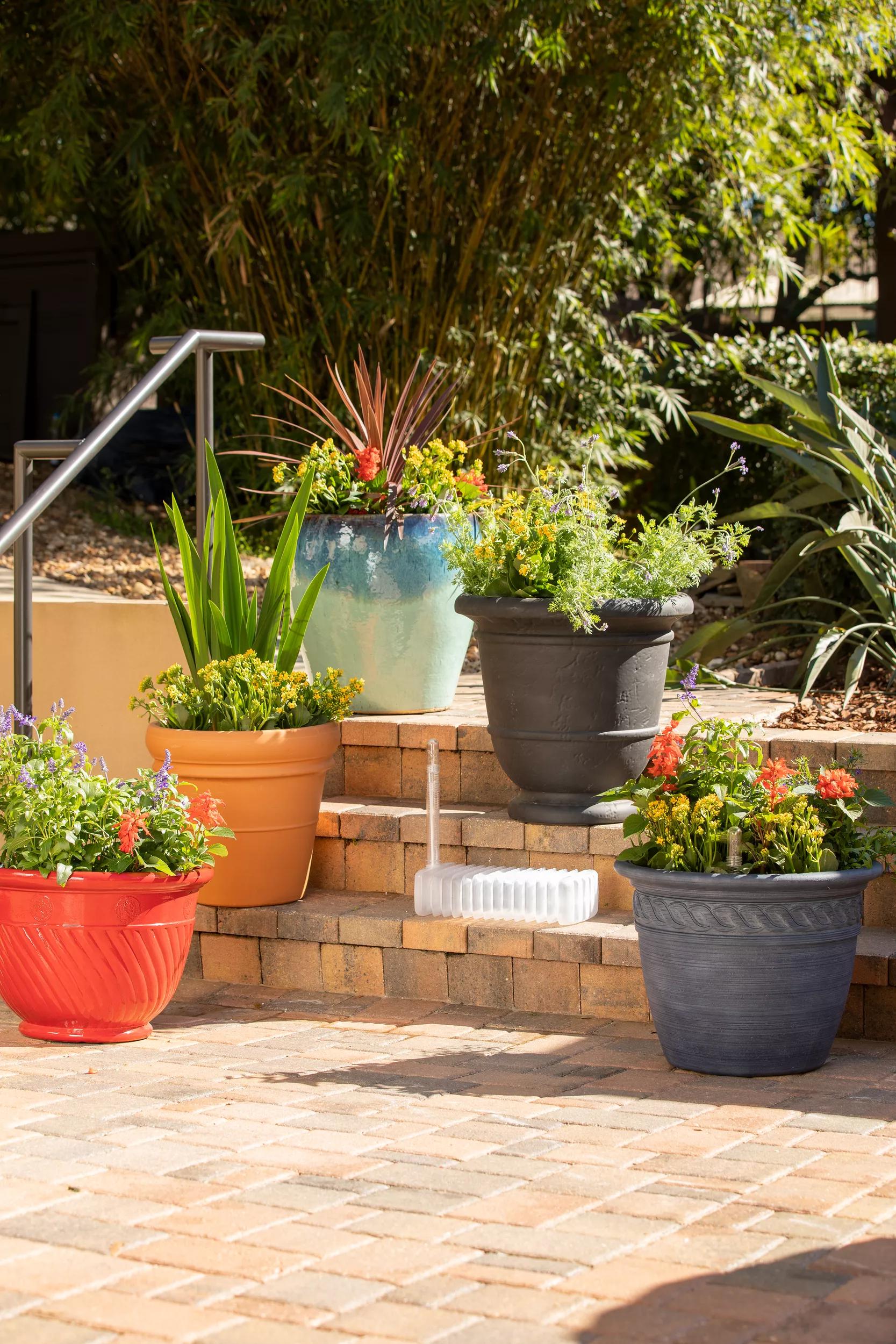 Adjustable Self-Watering Insert for Pots and Planters