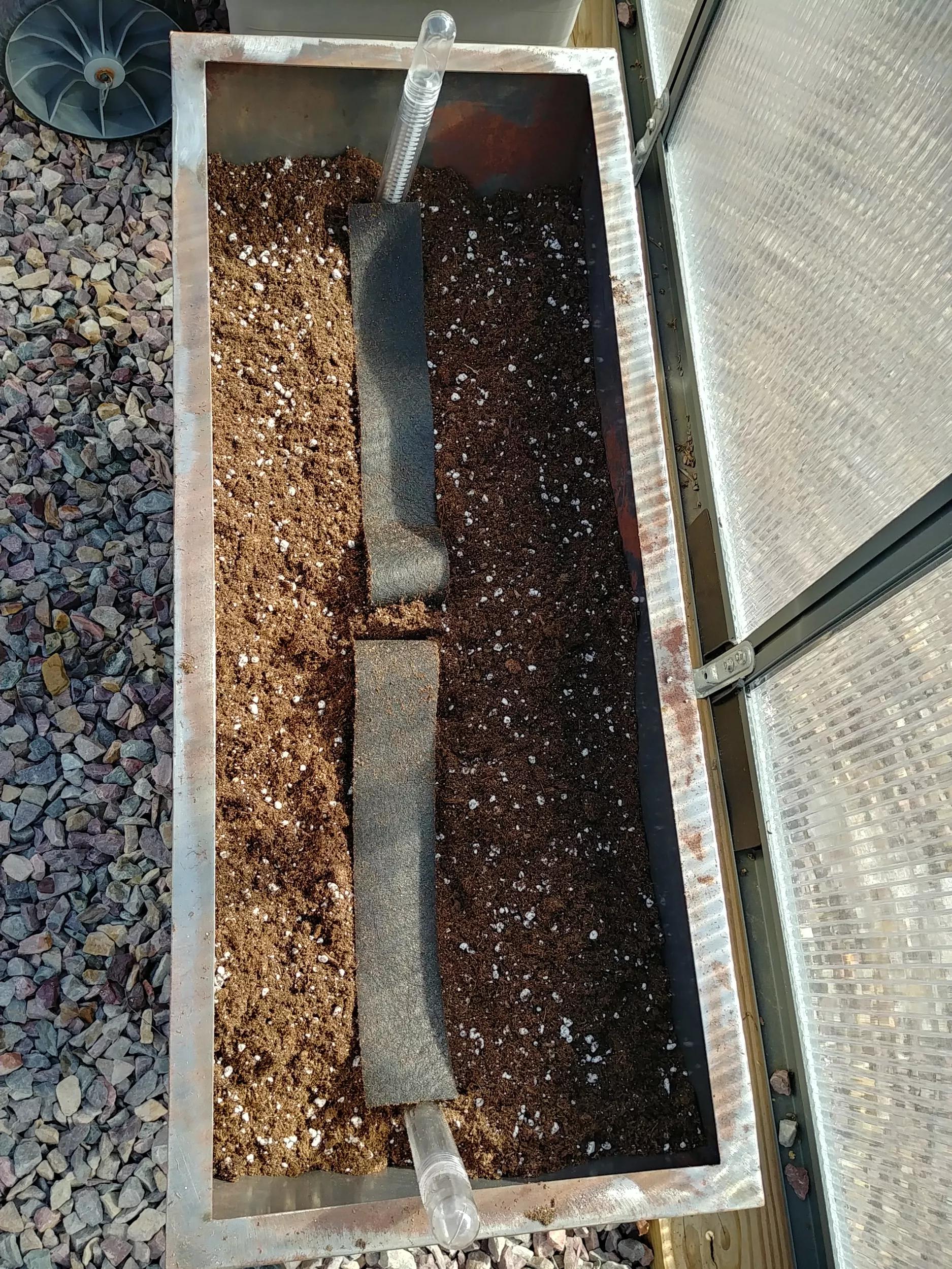 Adjustable Self-Watering Insert for Pots and Planters