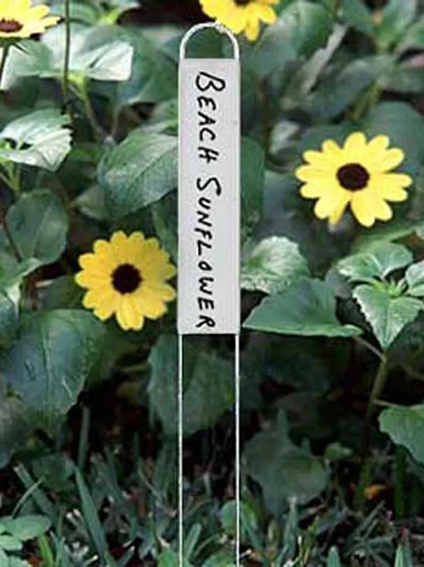264-vertical-markers-set-of-25-1.webp Vertical Markers, Set of 25