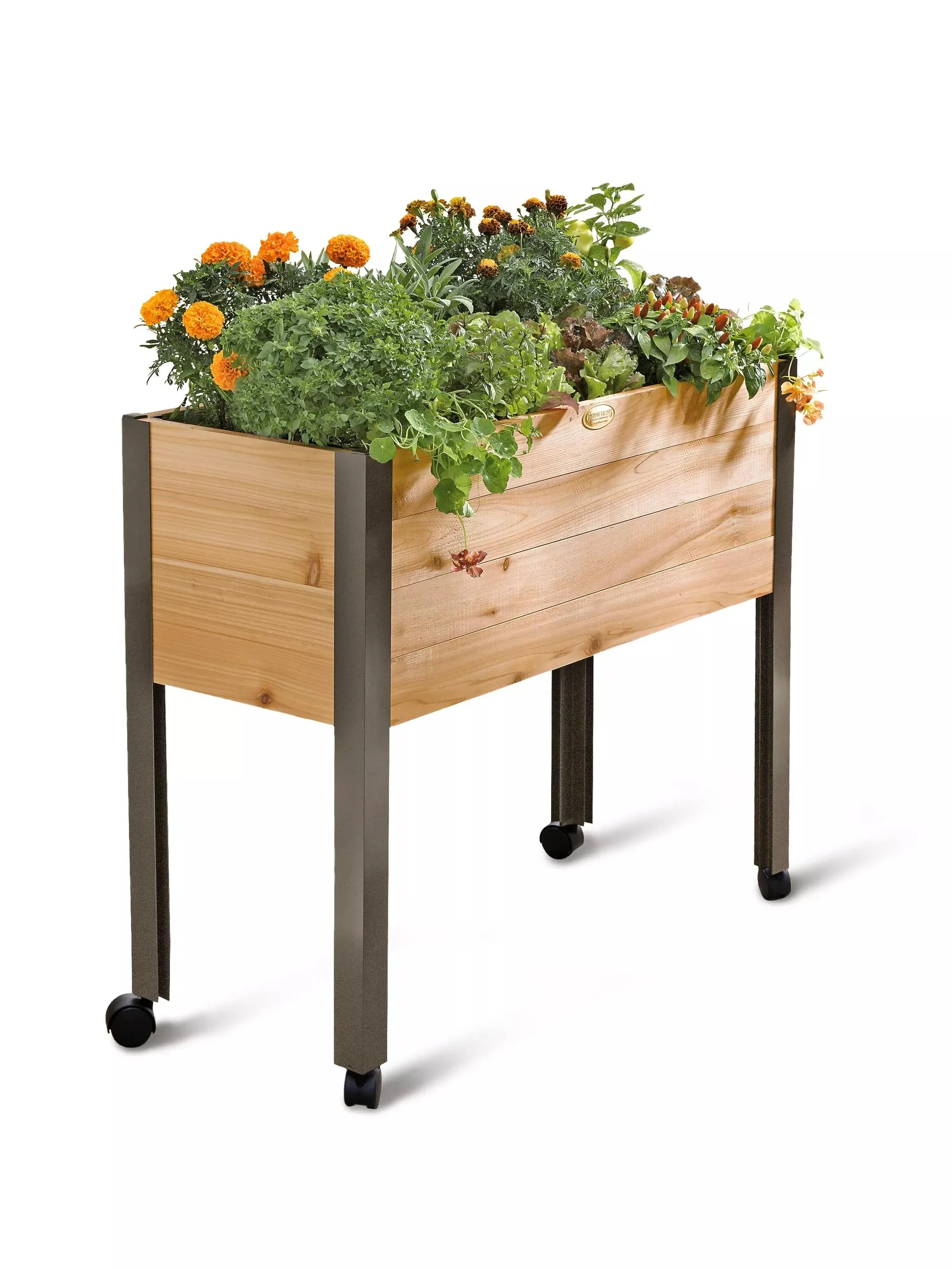 Rolling Patio Garden (13.5" D)