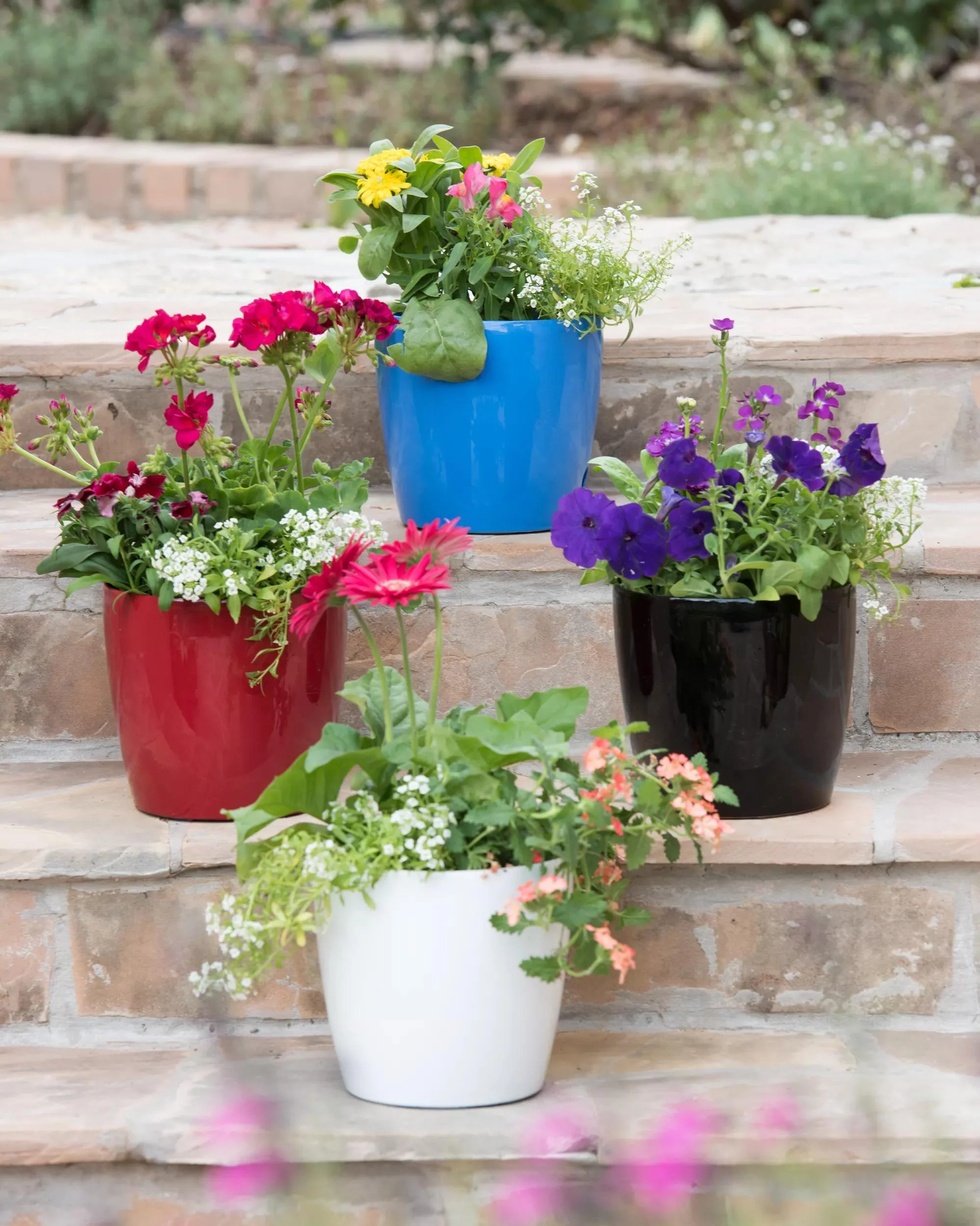 287-vivatm-round-self-watering-planter-7-diameter-1.webp Viva™ Round Self-Watering Planter, 7" Diameter