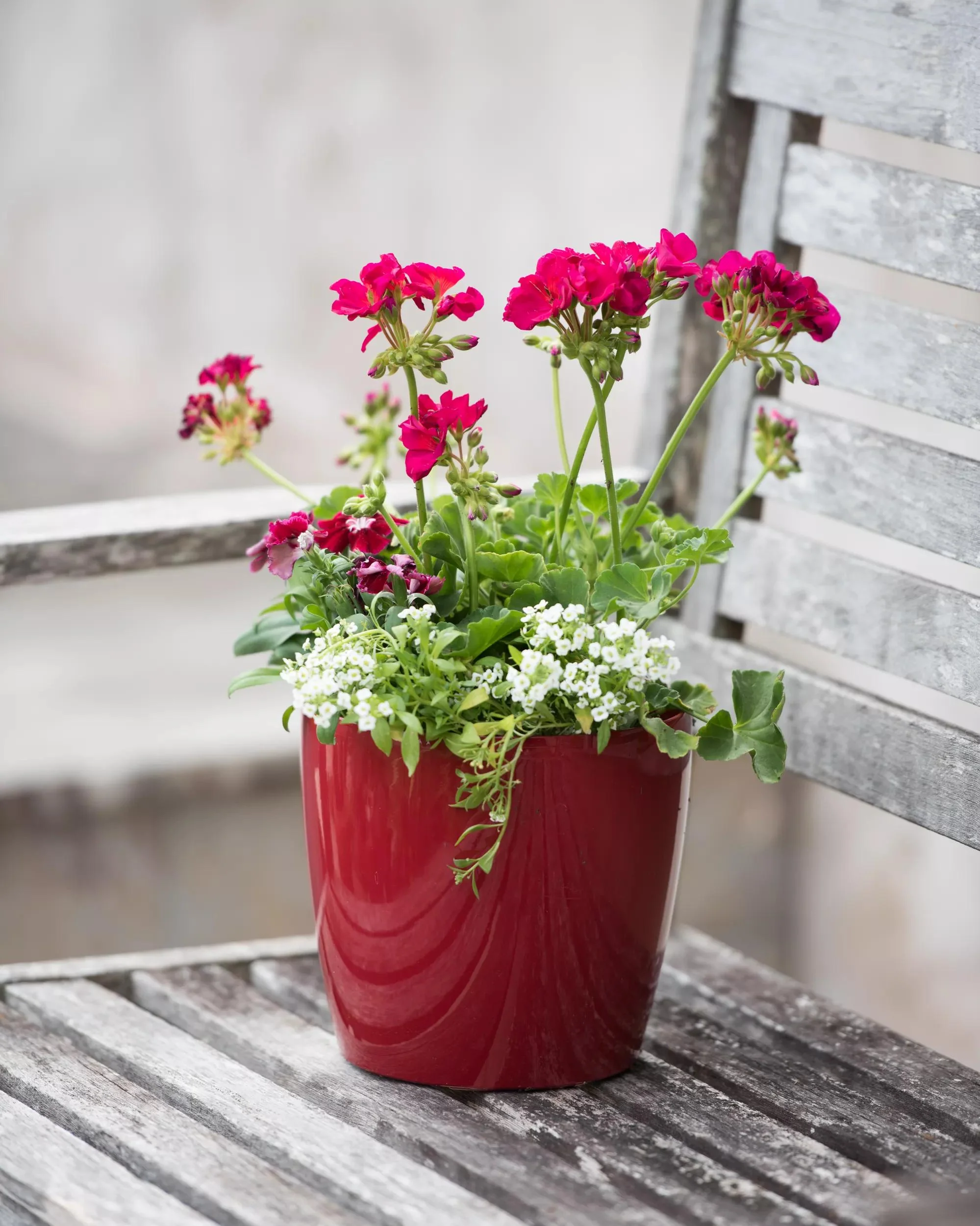Viva™ Round Self-Watering Planter, 7" Diameter