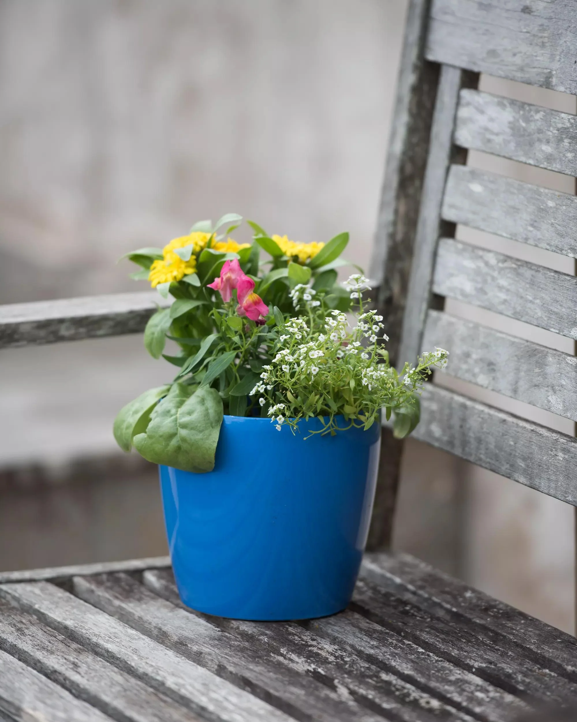 Viva™ Round Self-Watering Planter, 7" Diameter