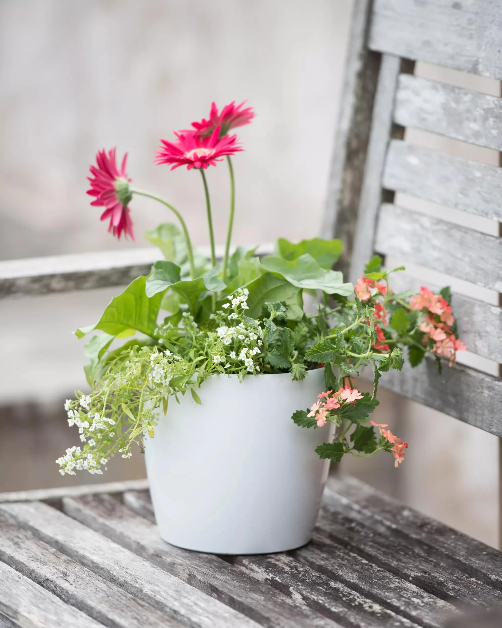 Viva™ Round Self-Watering Planter, 7" Diameter