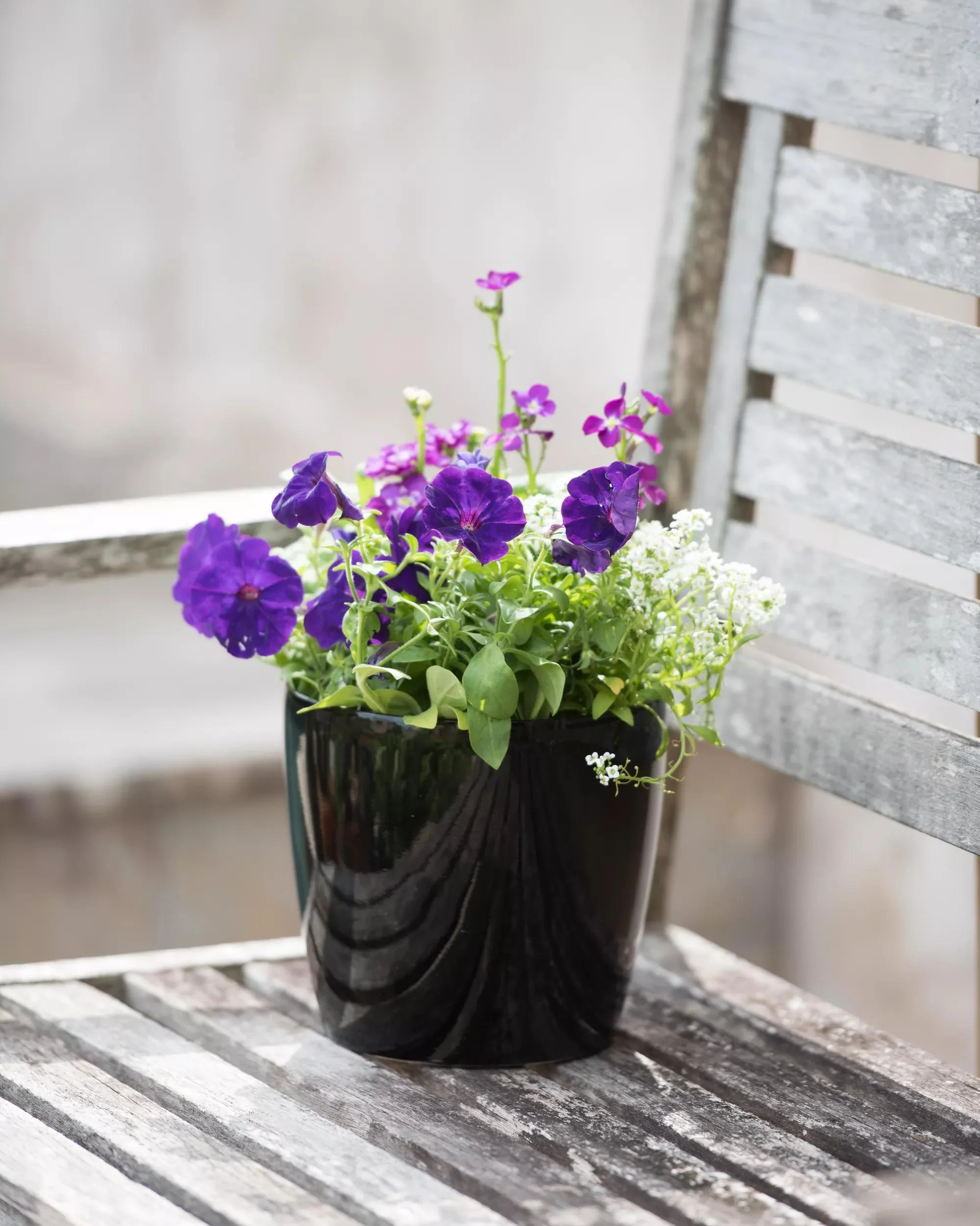 Viva™ Round Self-Watering Planter, 7" Diameter