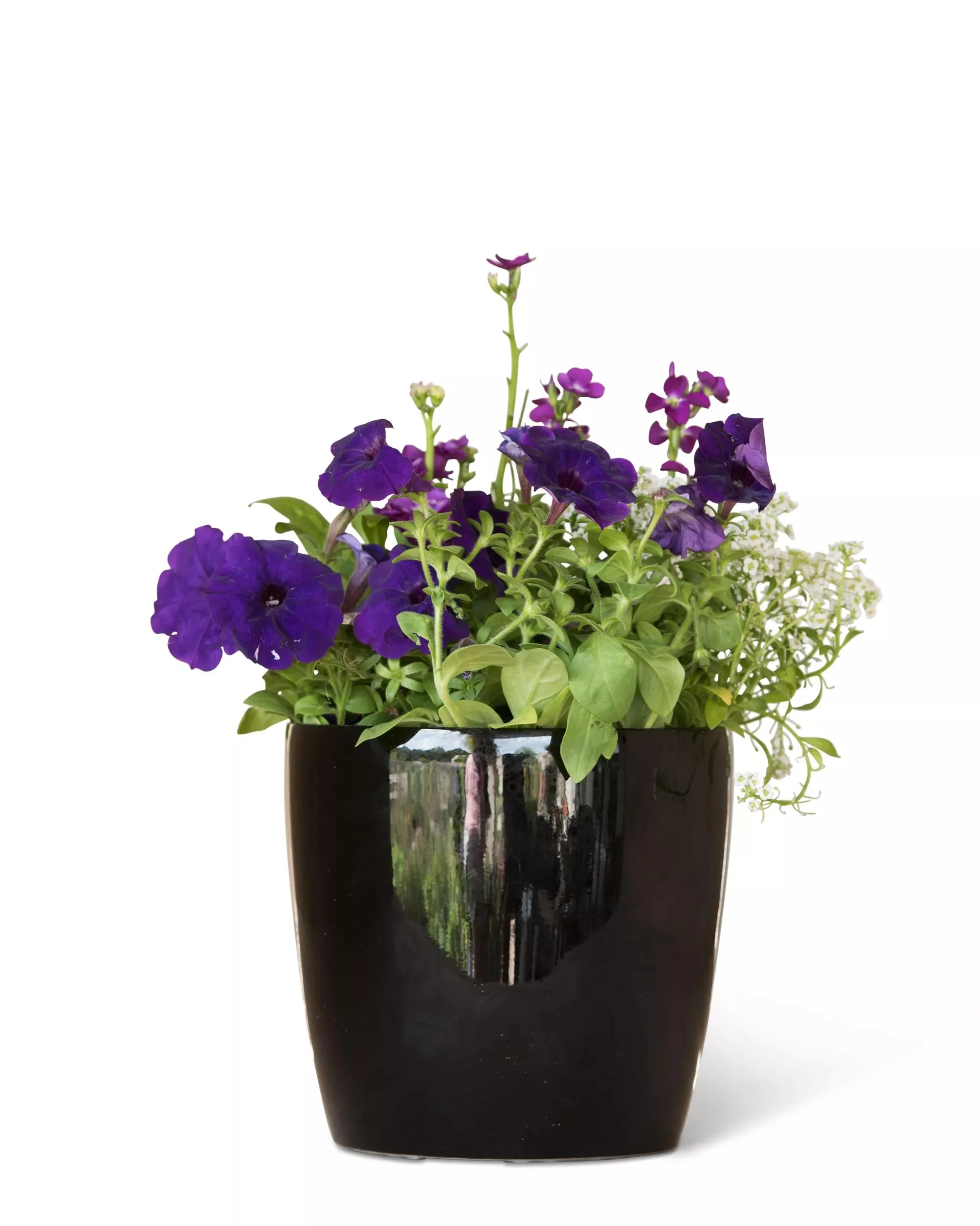 Viva™ Round Self-Watering Planter, 7" Diameter
