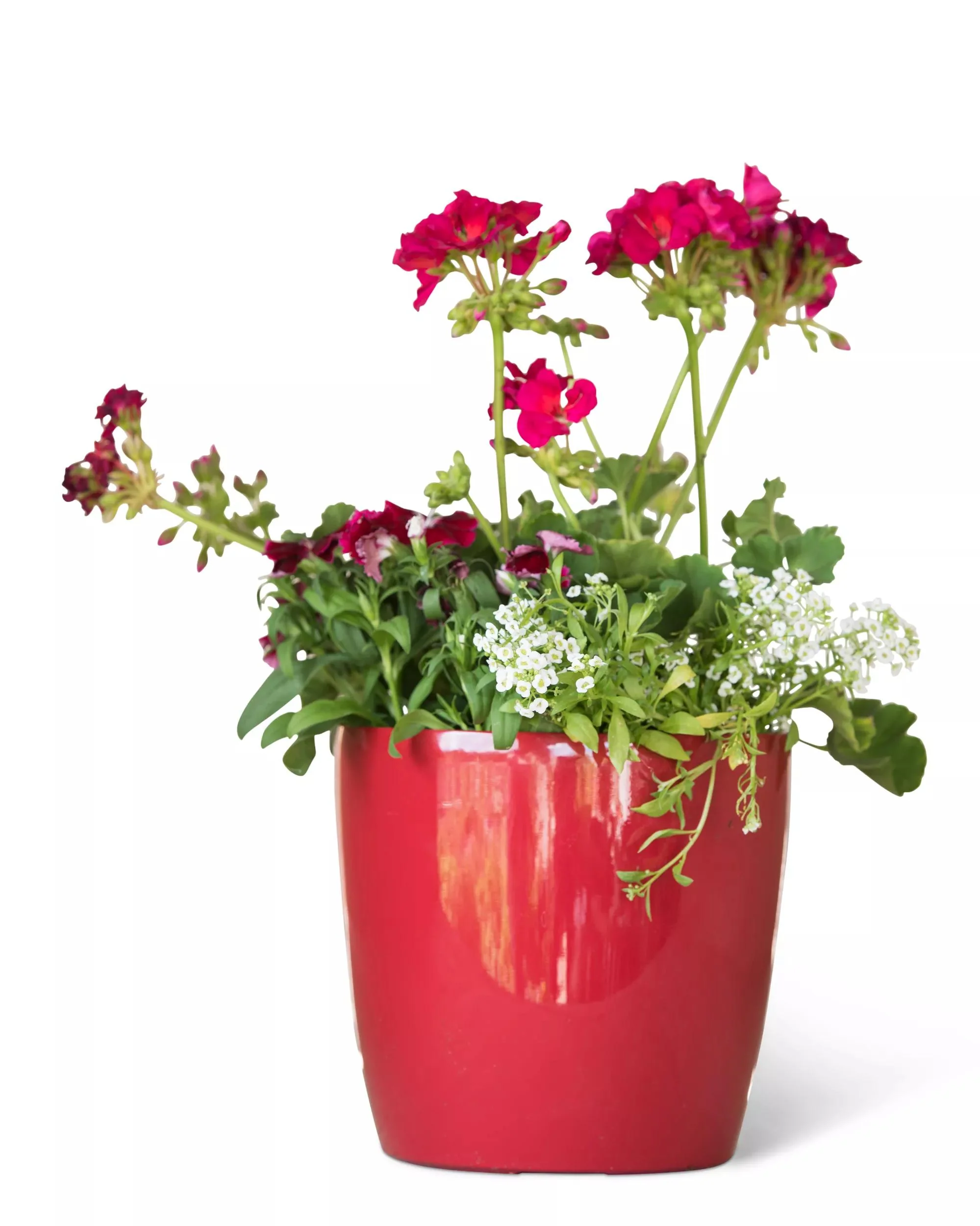 Viva™ Round Self-Watering Planter, 7" Diameter