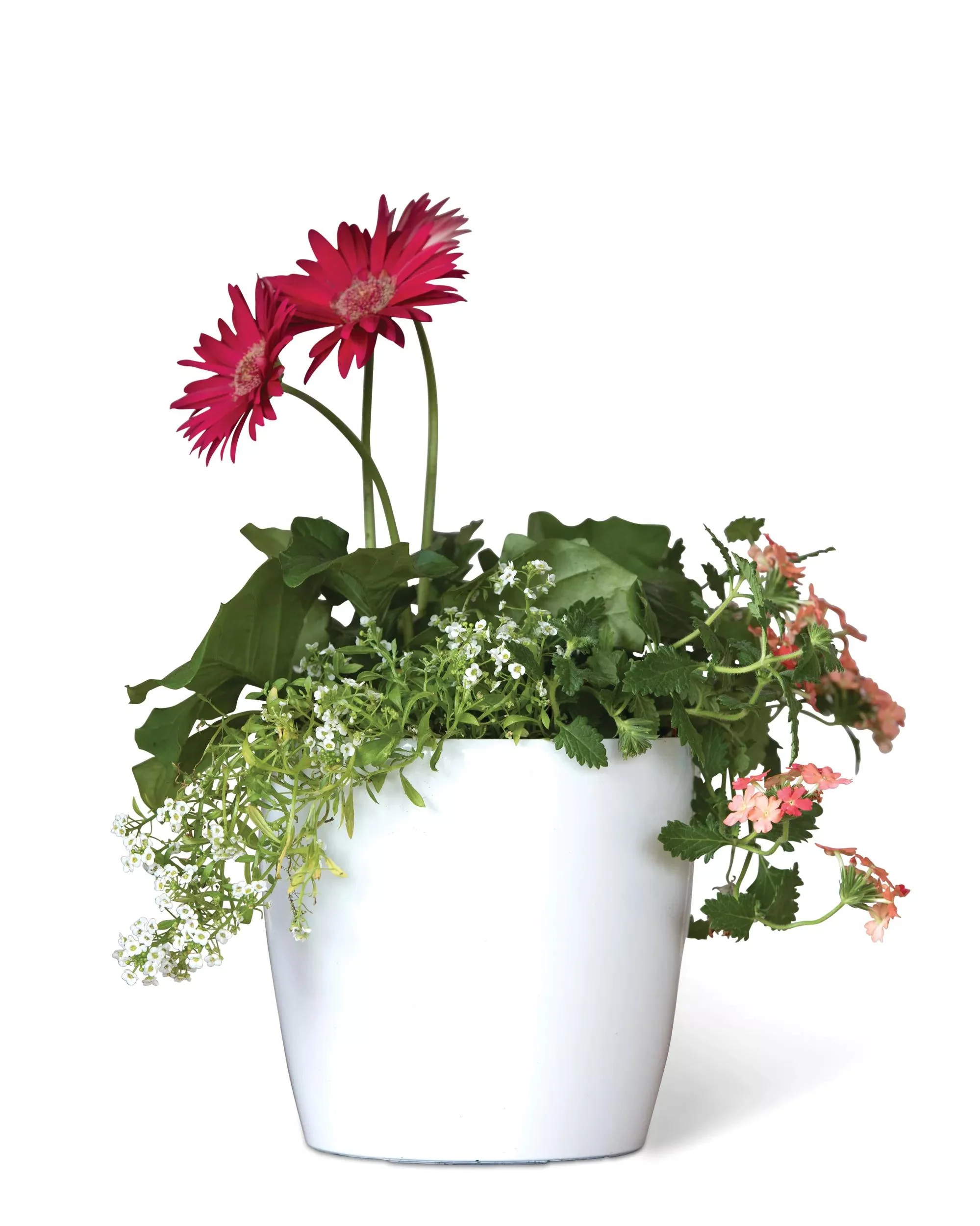 Viva™ Round Self-Watering Planter, 7" Diameter