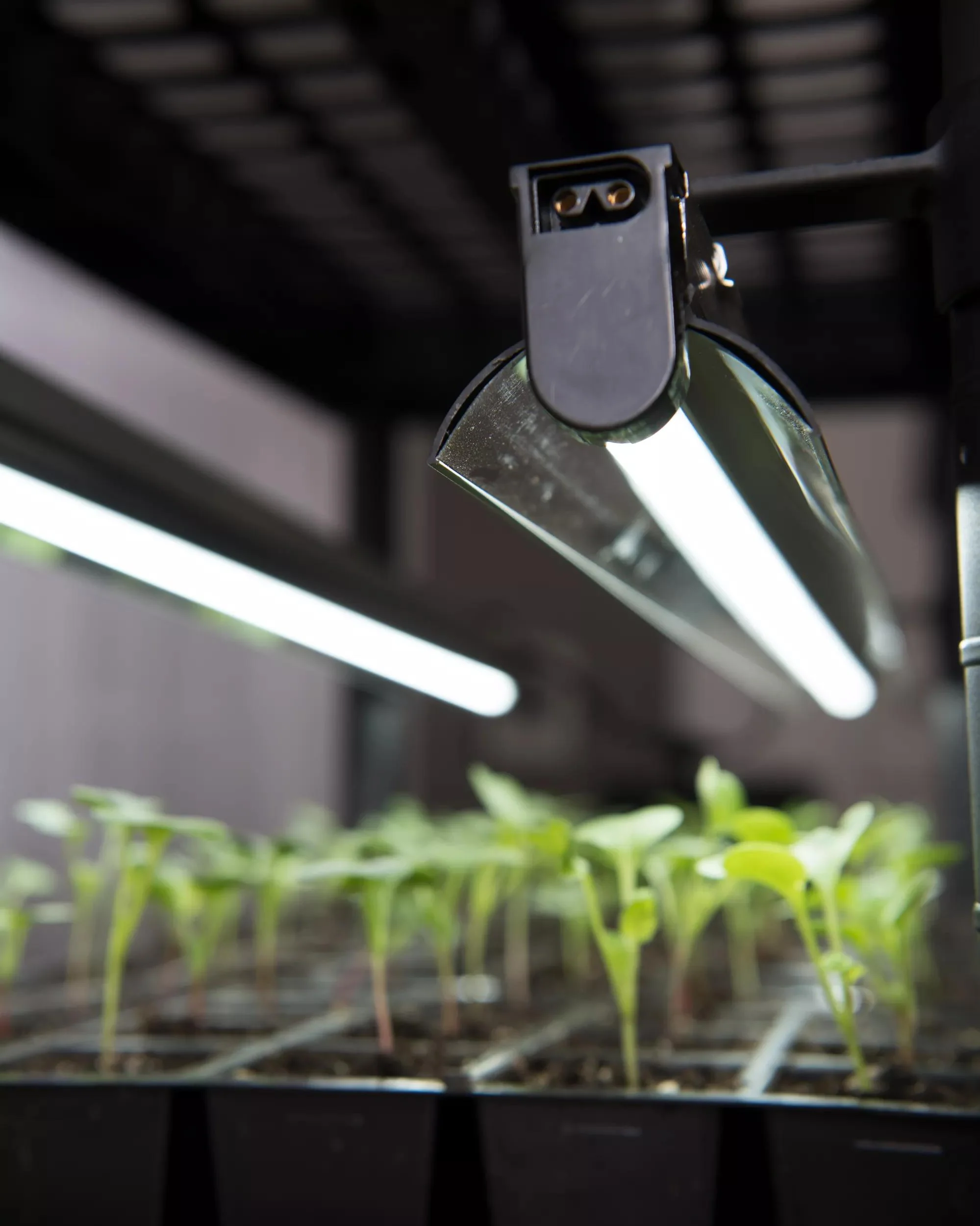 LED Stack-n-Grow™ Lights - Base Unit