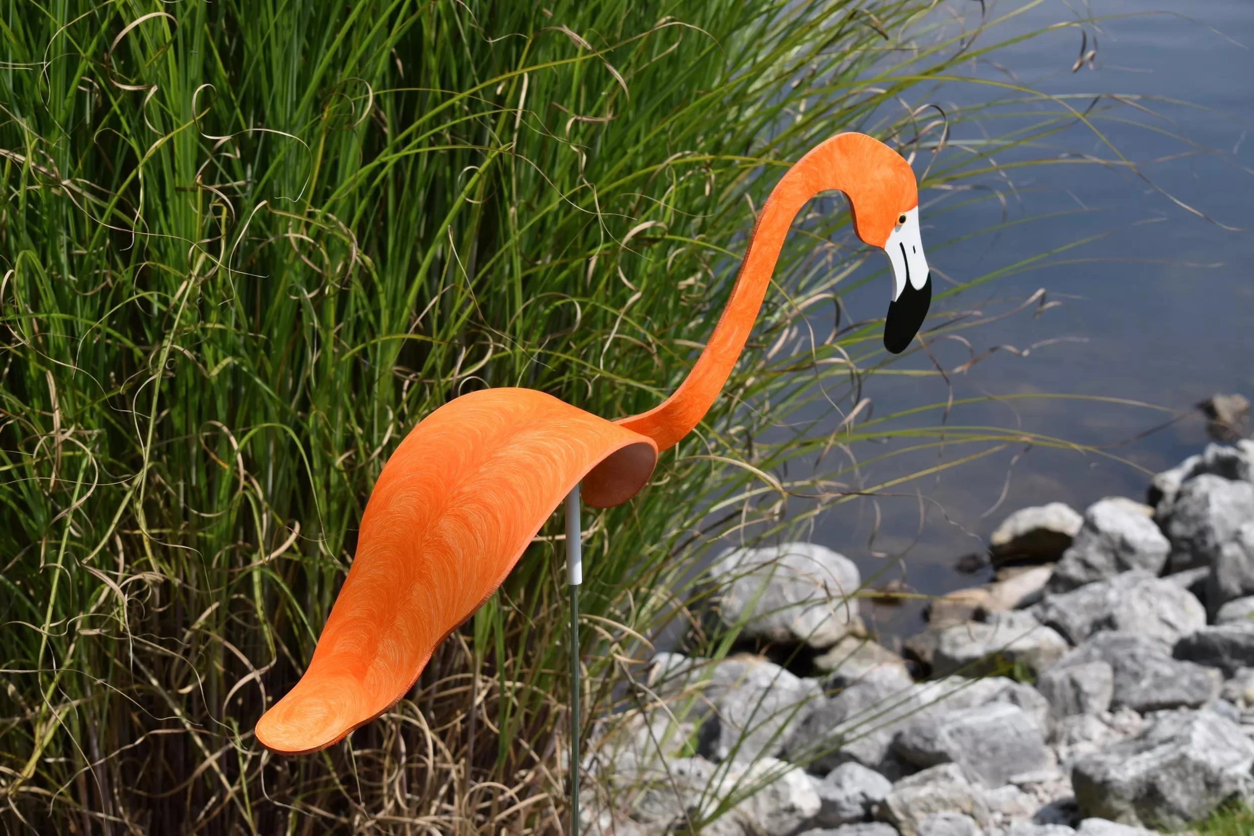 Florida Dancing Birds®, Flamingos