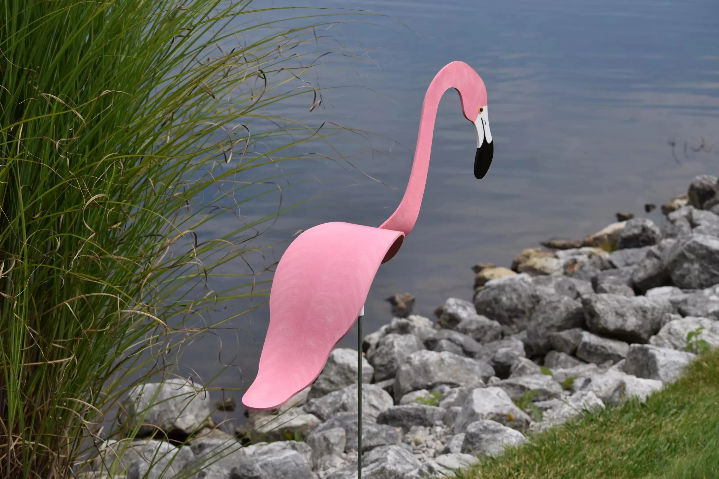 Florida Dancing Birds®, Flamingos