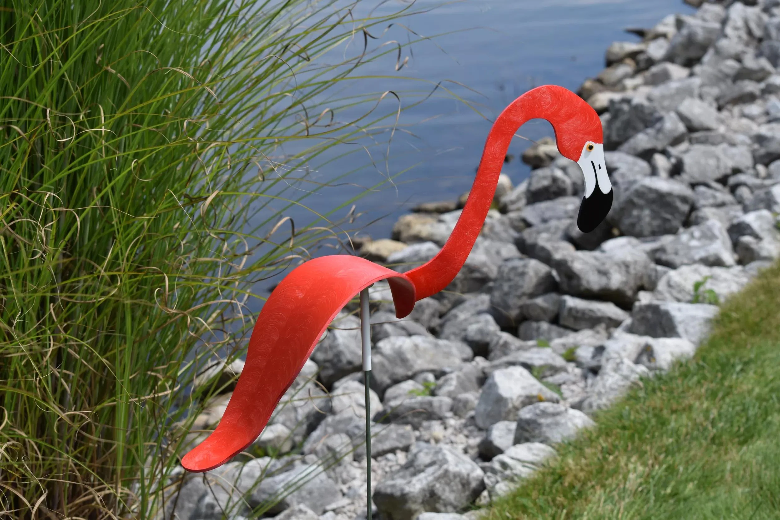 Florida Dancing Birds®, Flamingos