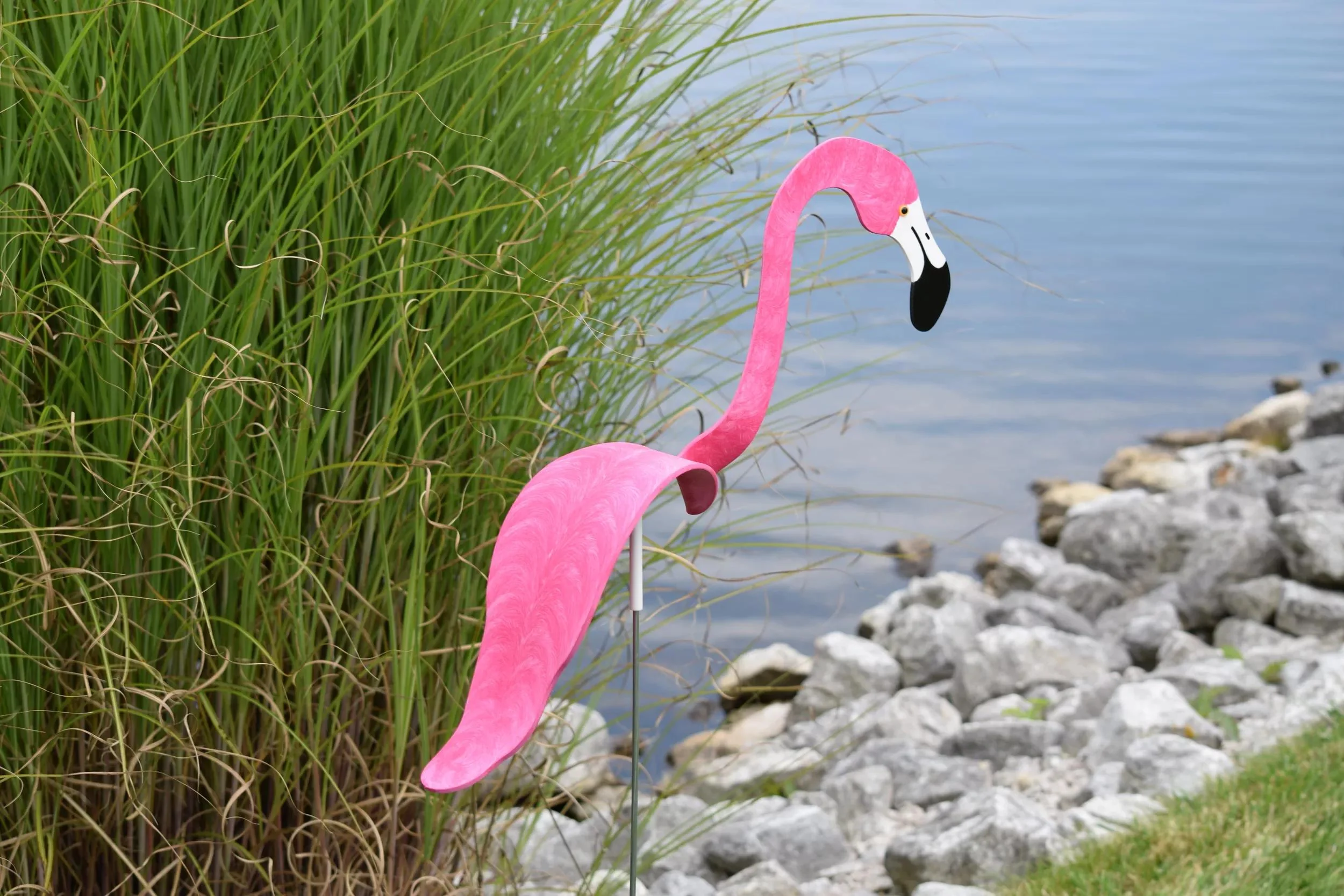 Florida Dancing Birds®, Flamingos