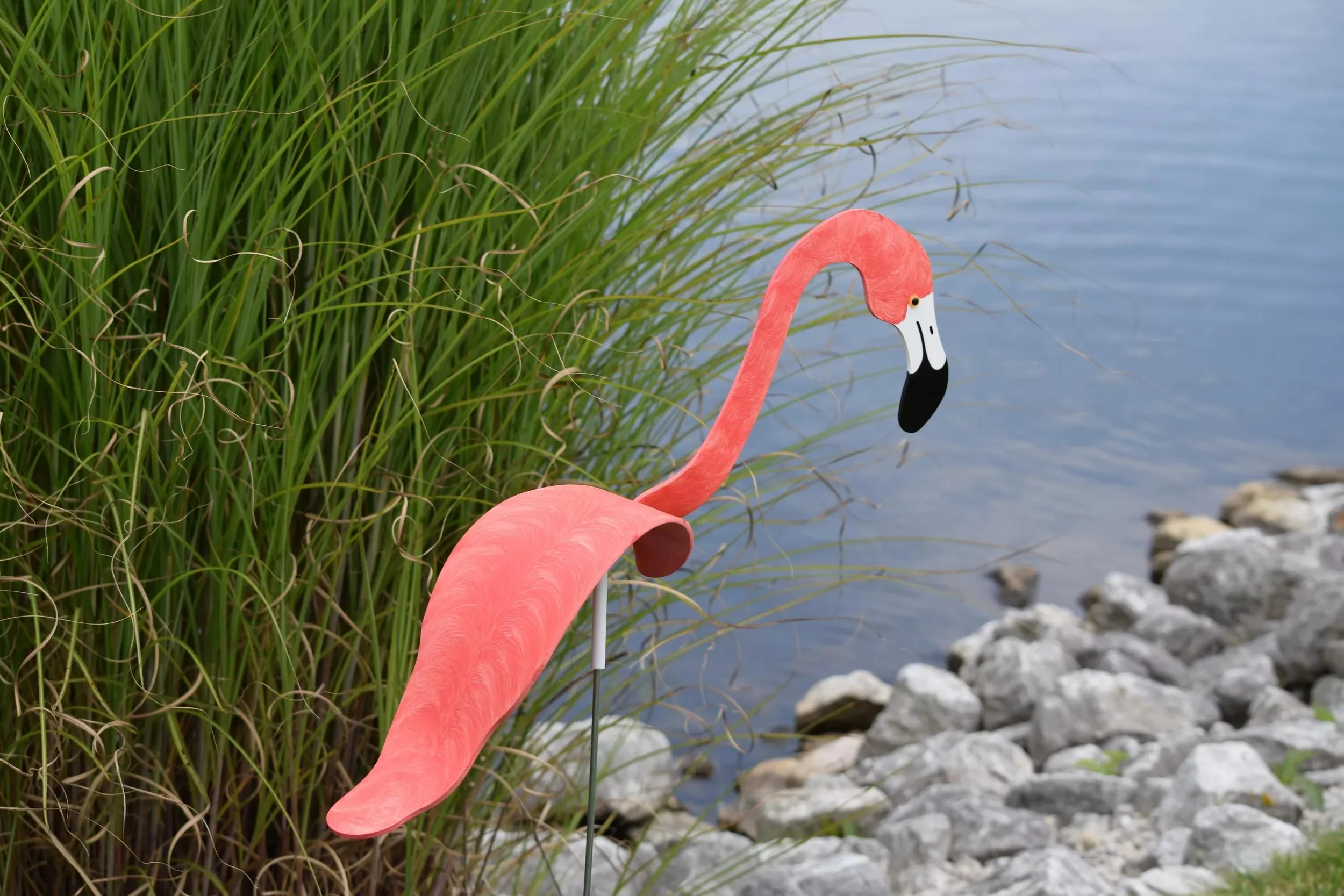 Florida Dancing Birds®, Flamingos