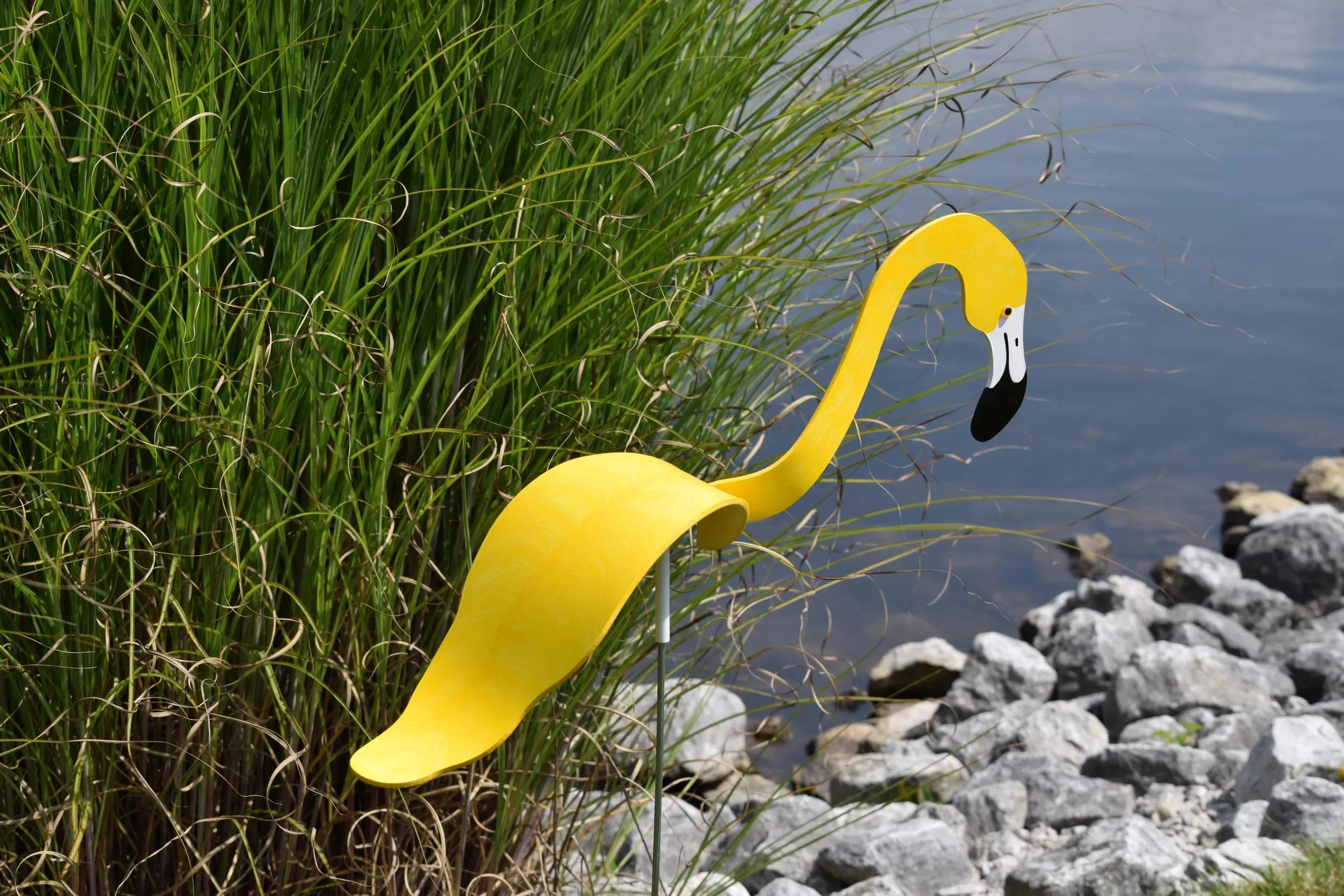 Florida Dancing Birds®, Flamingos