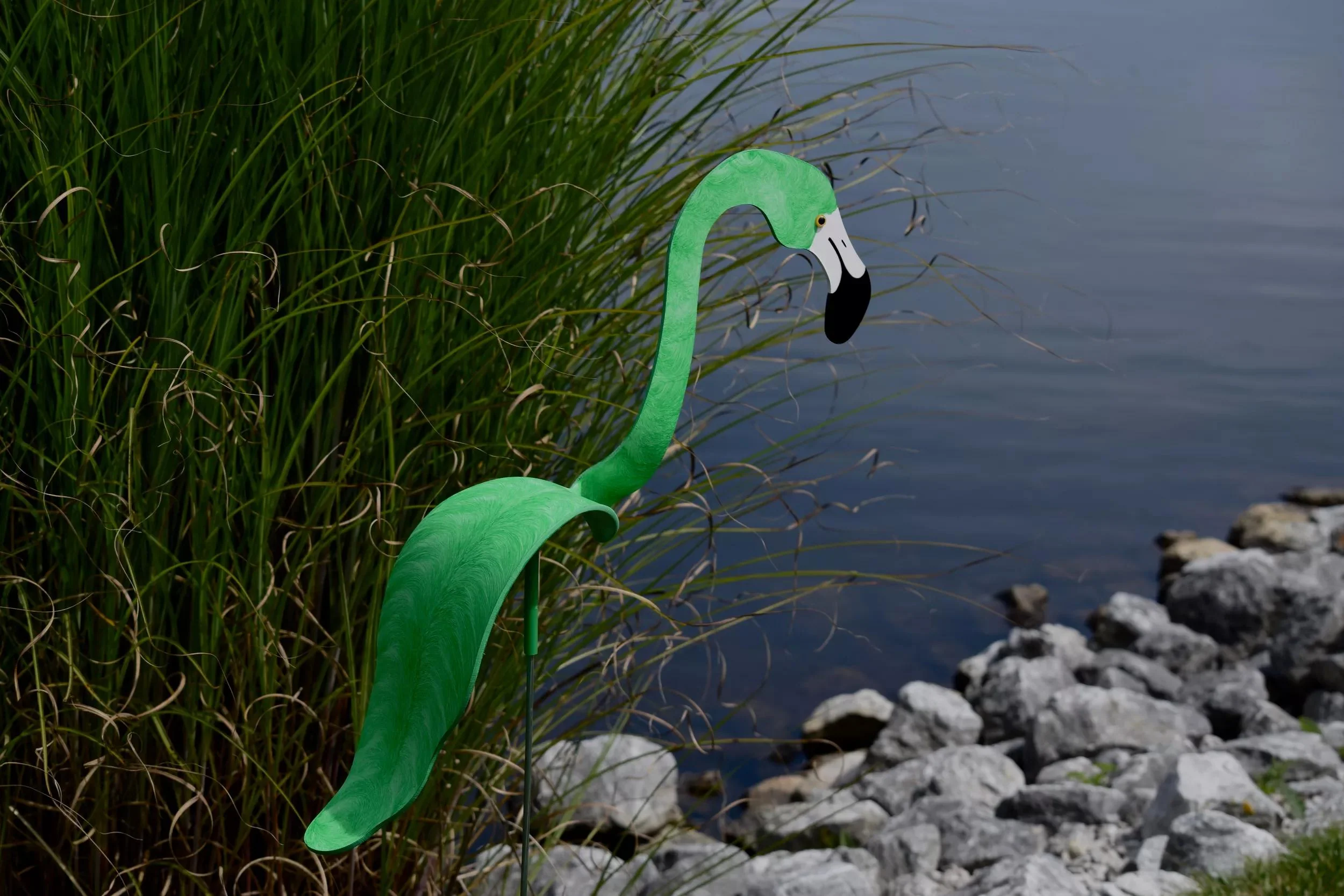 Florida Dancing Birds®, Flamingos
