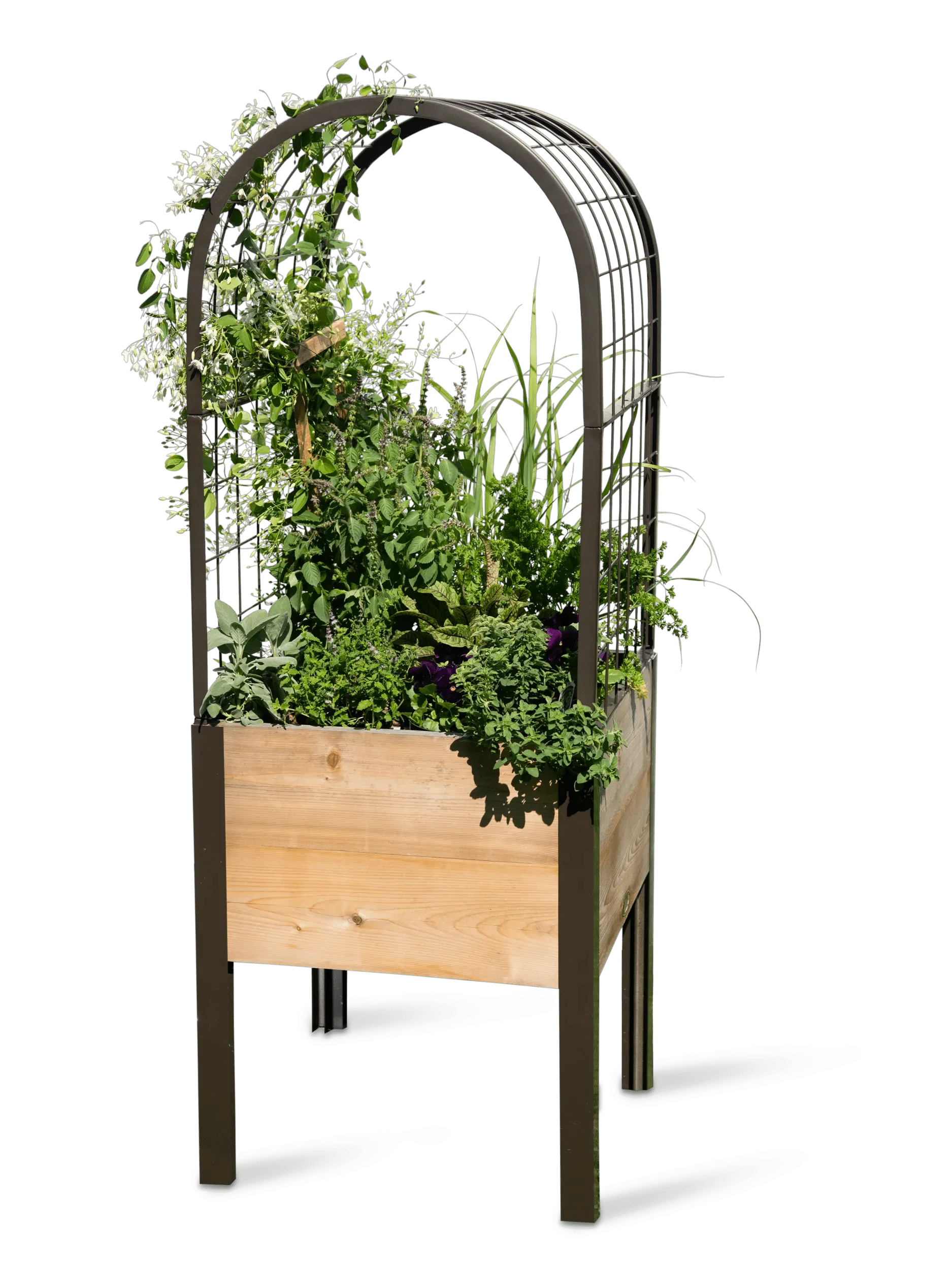 2x2 ARCH TRELLIS FOR PLANTER BOXES