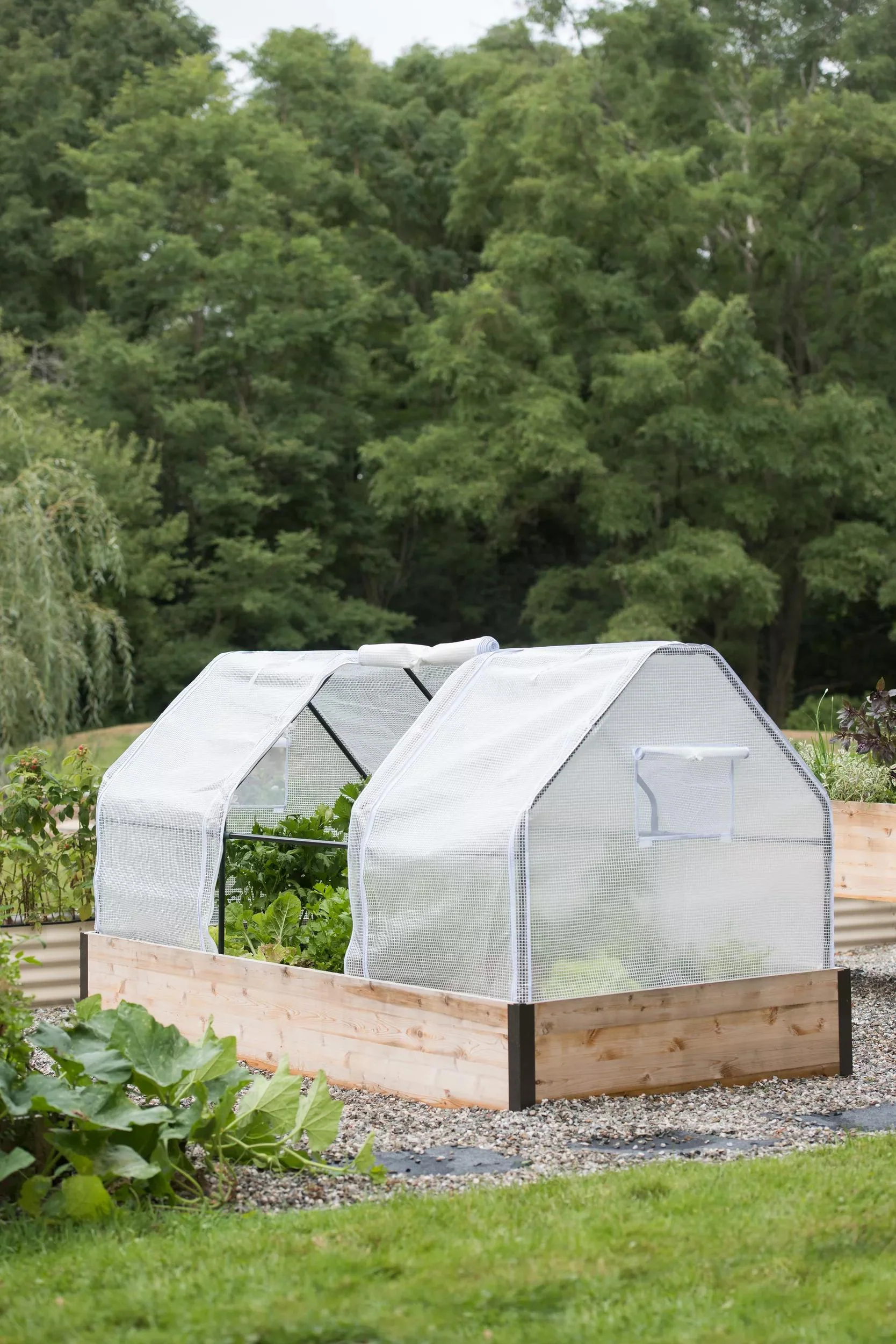 316-3-season-plant-protection-tent-4-x-8-1.webp 3-Season Plant Protection Tent, 4' x 8'