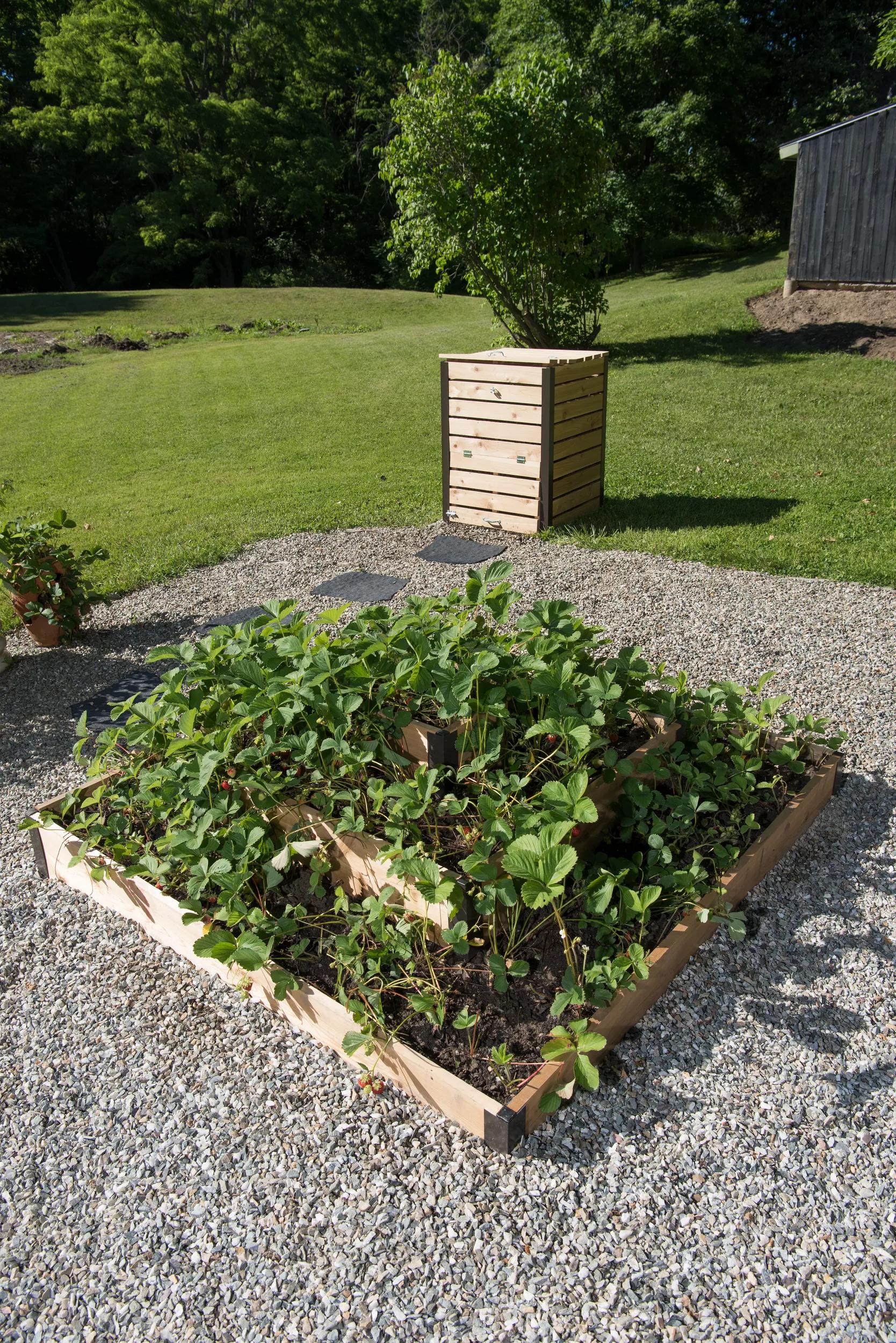 3-Tier Strawberry Cedar Bed