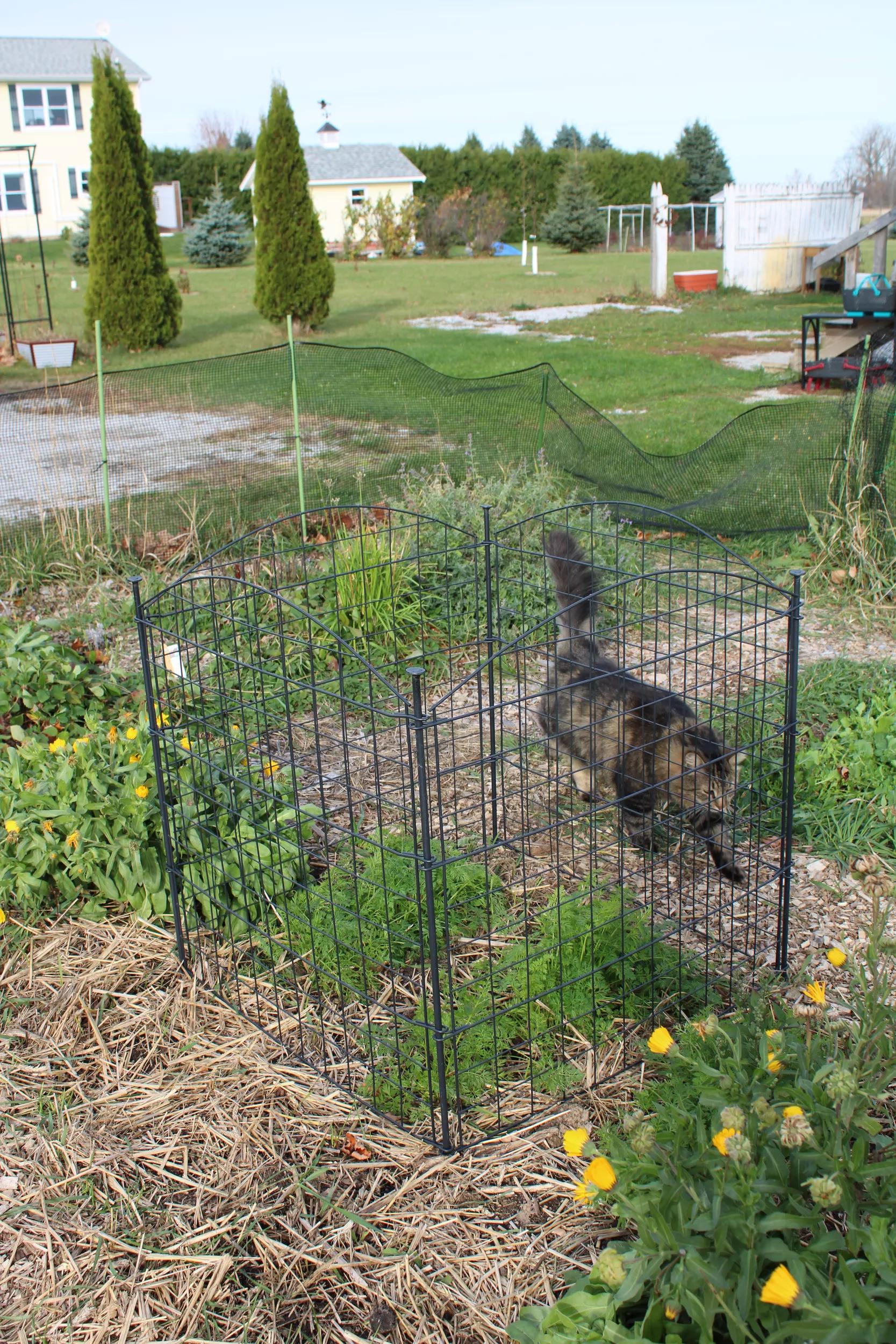 331-4-panel-critter-fence-1.jpg 4 Panel Critter Fence