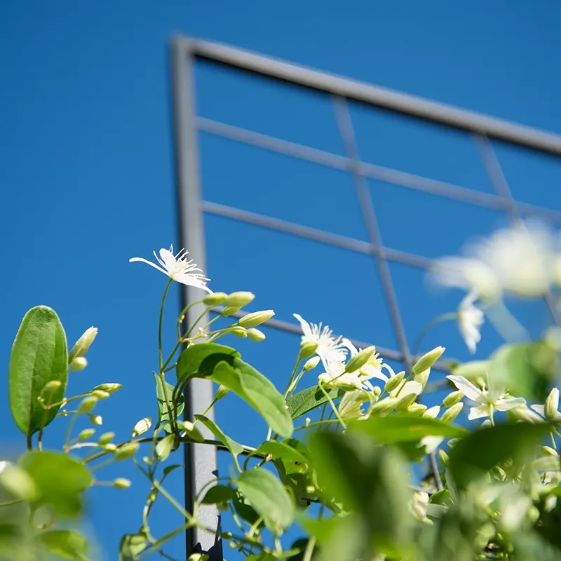 4' Pivoting Trellis For RBS & EPBS