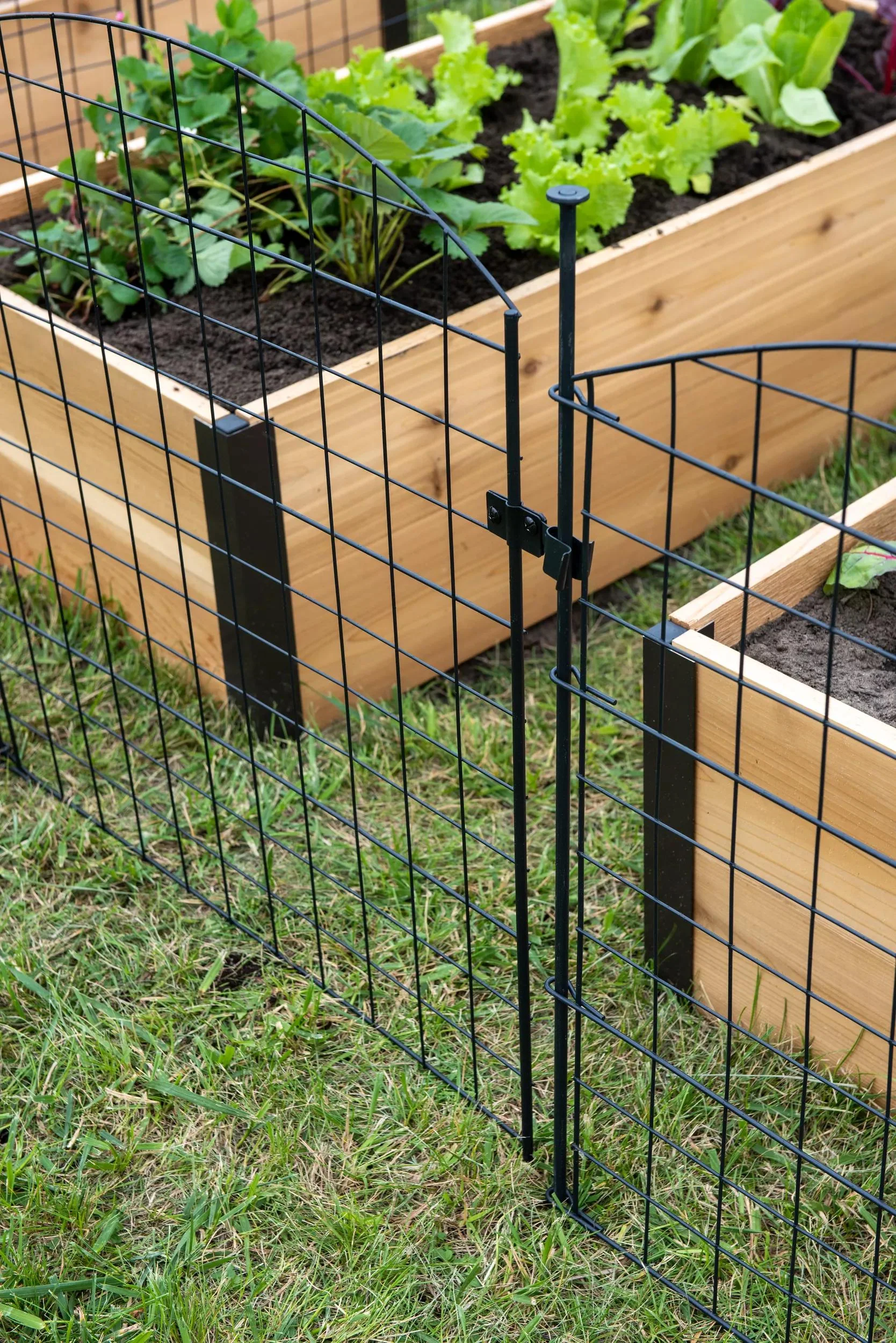 6 Panel Critter Fence with Gate