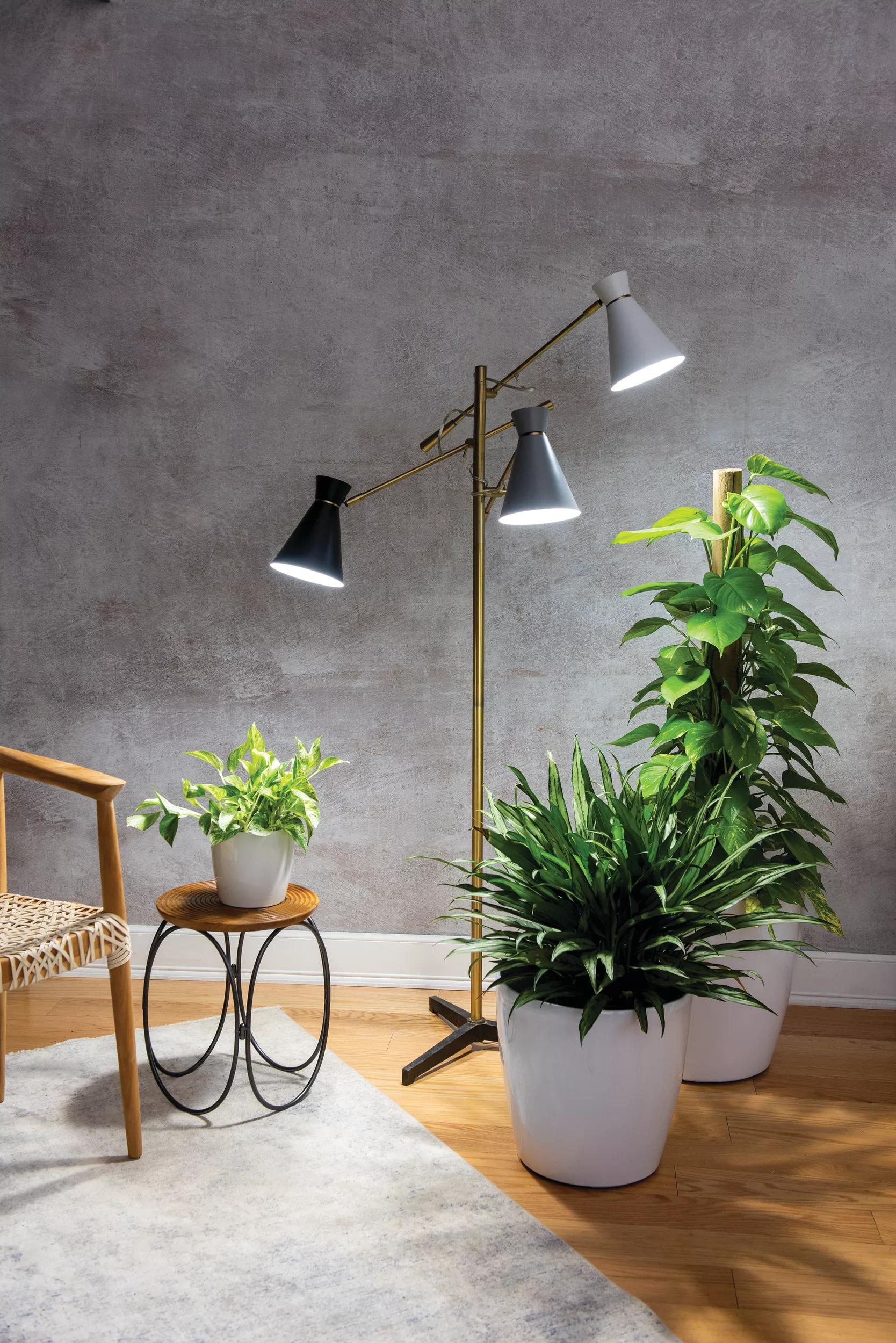 345-adjustable-3-arm-grow-lamp-1.jpg Adjustable 3-Arm Grow Lamp