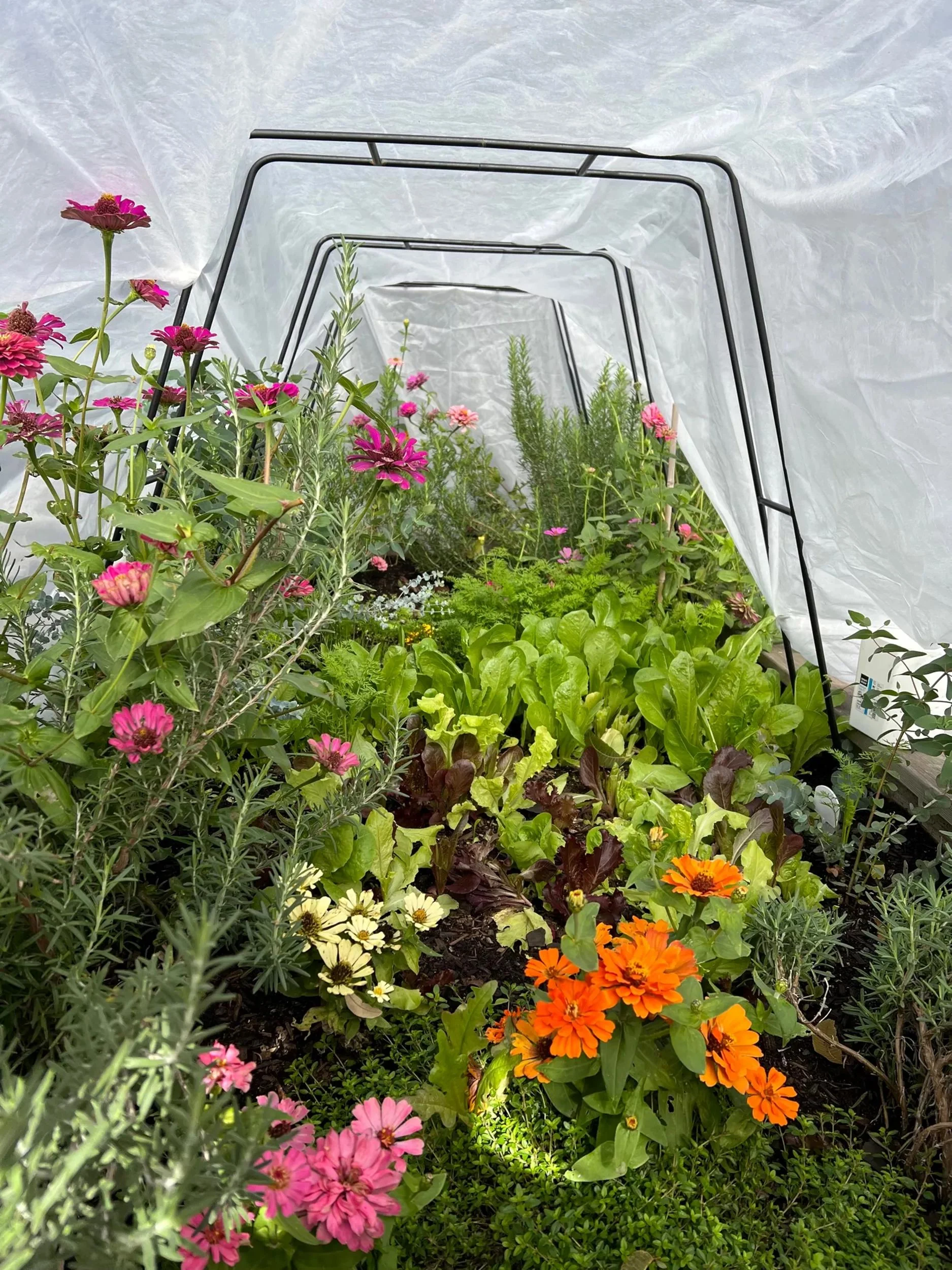 All-Purpose Garden Fabric